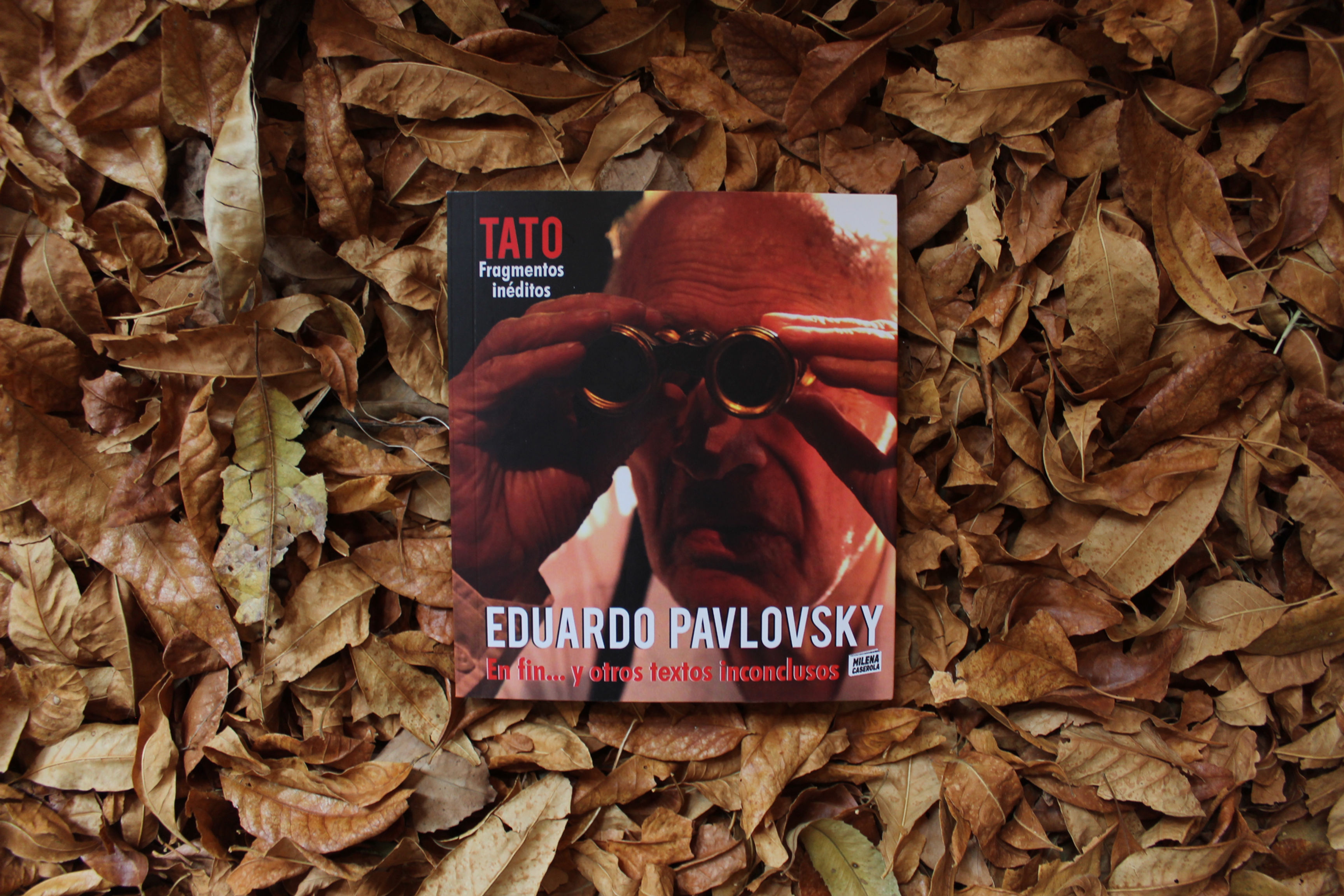 En fin.. y otros textos inconclusos - Eduardo Pavlovsky