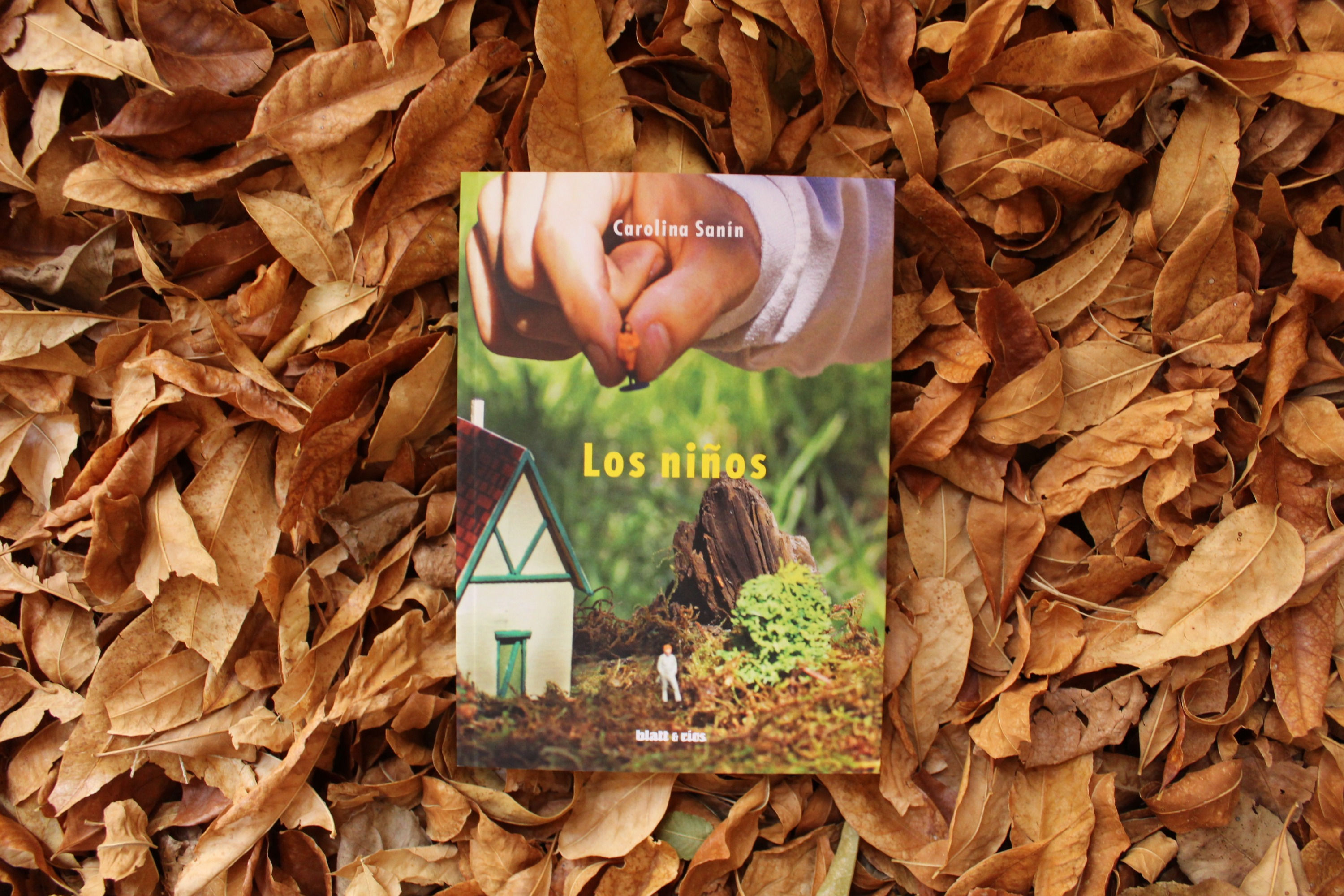 Los niños - Carolina Sanin