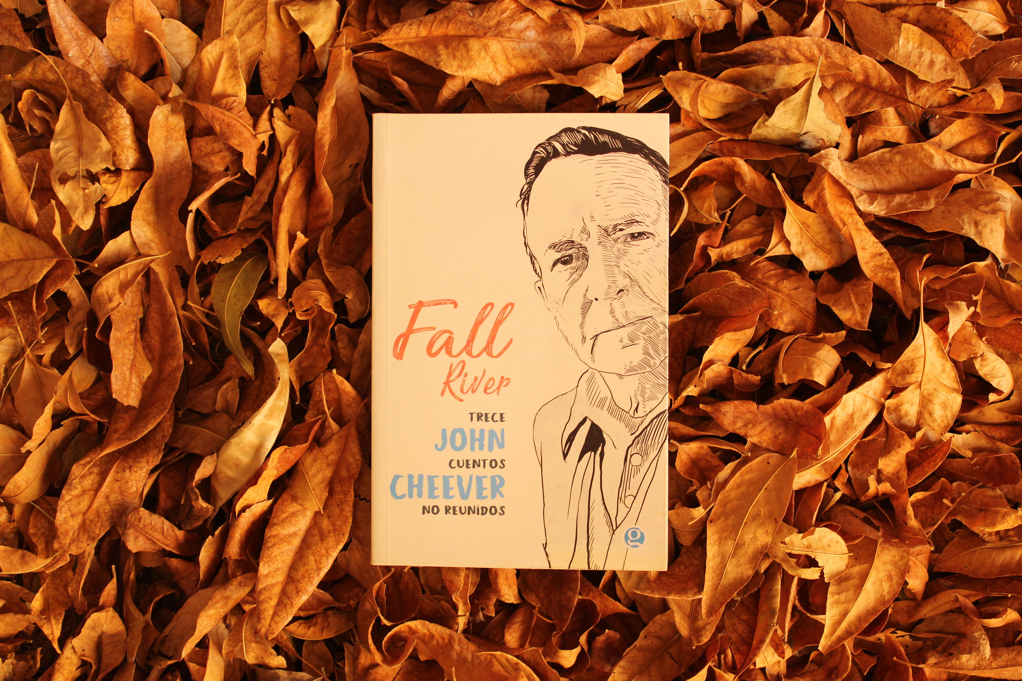 Fall River, trece cuentos reunidos - John Cheever