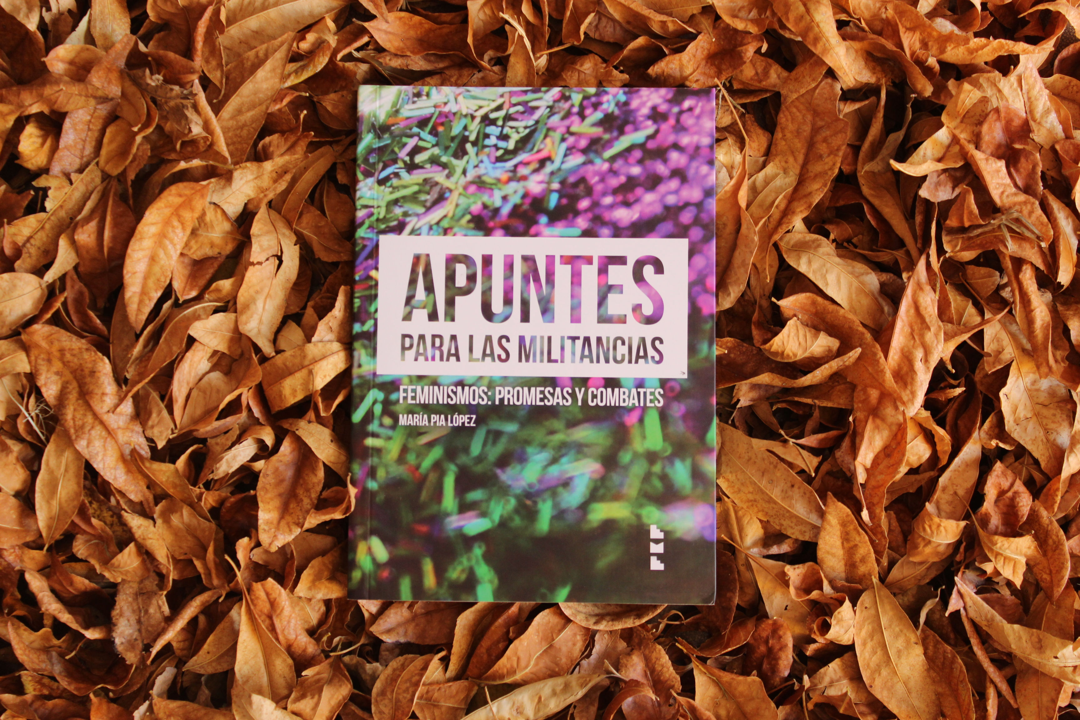 Apuntes para la militancia - María Pía López