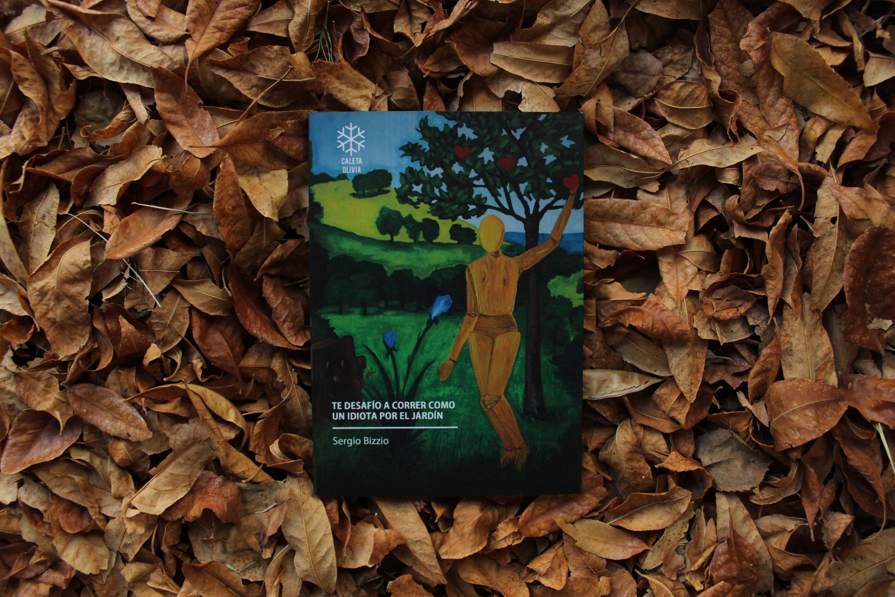 Te desafío a correr como un idiota por el jardín - Sergio Bizzio