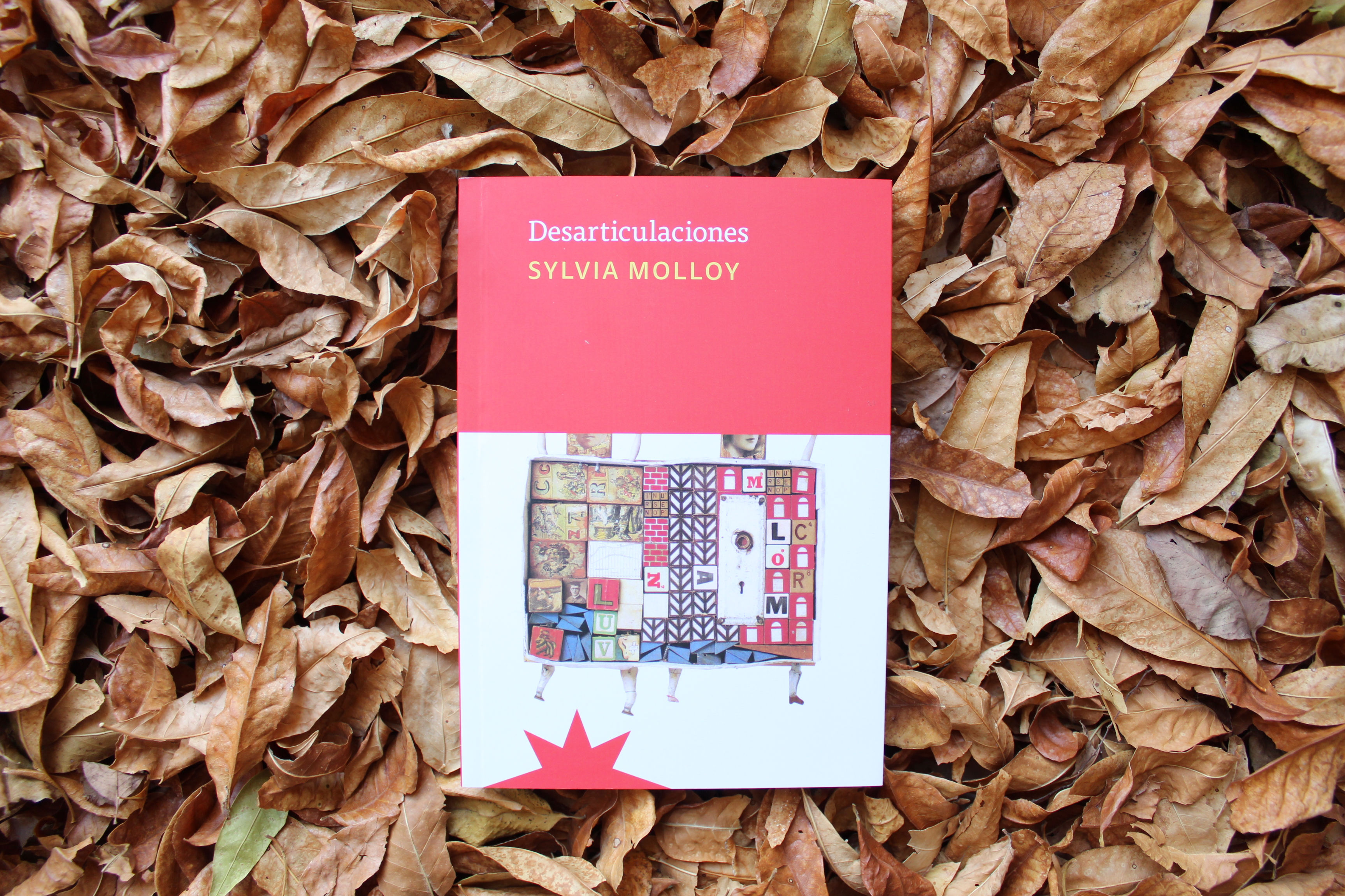 Desarticulaciones - Sylvia Molloy