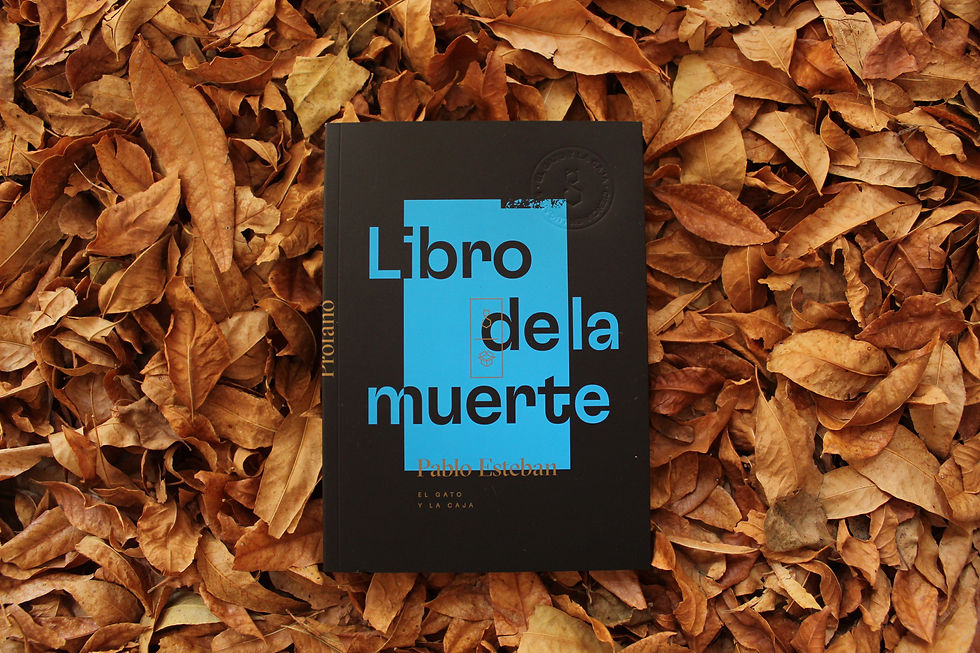 El libro de la muerte - Pablo Esteban