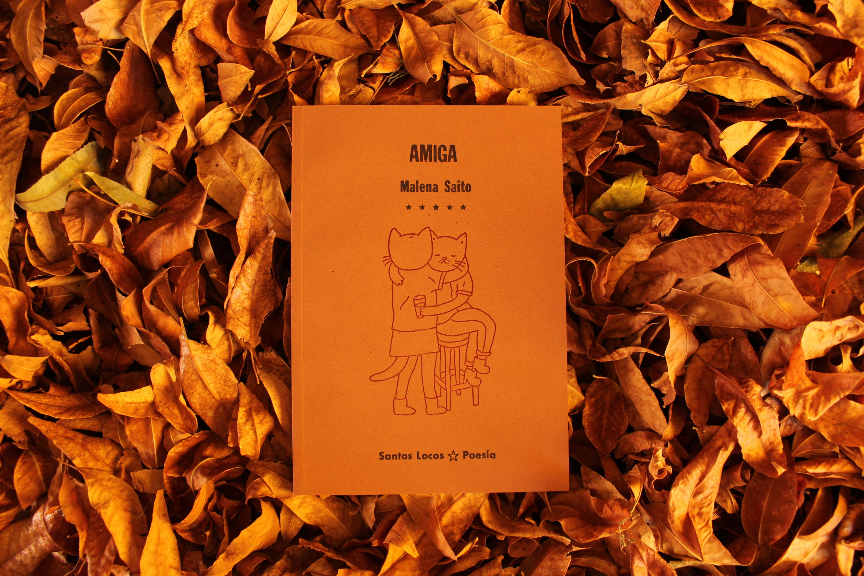 Amiga - Malena Saito