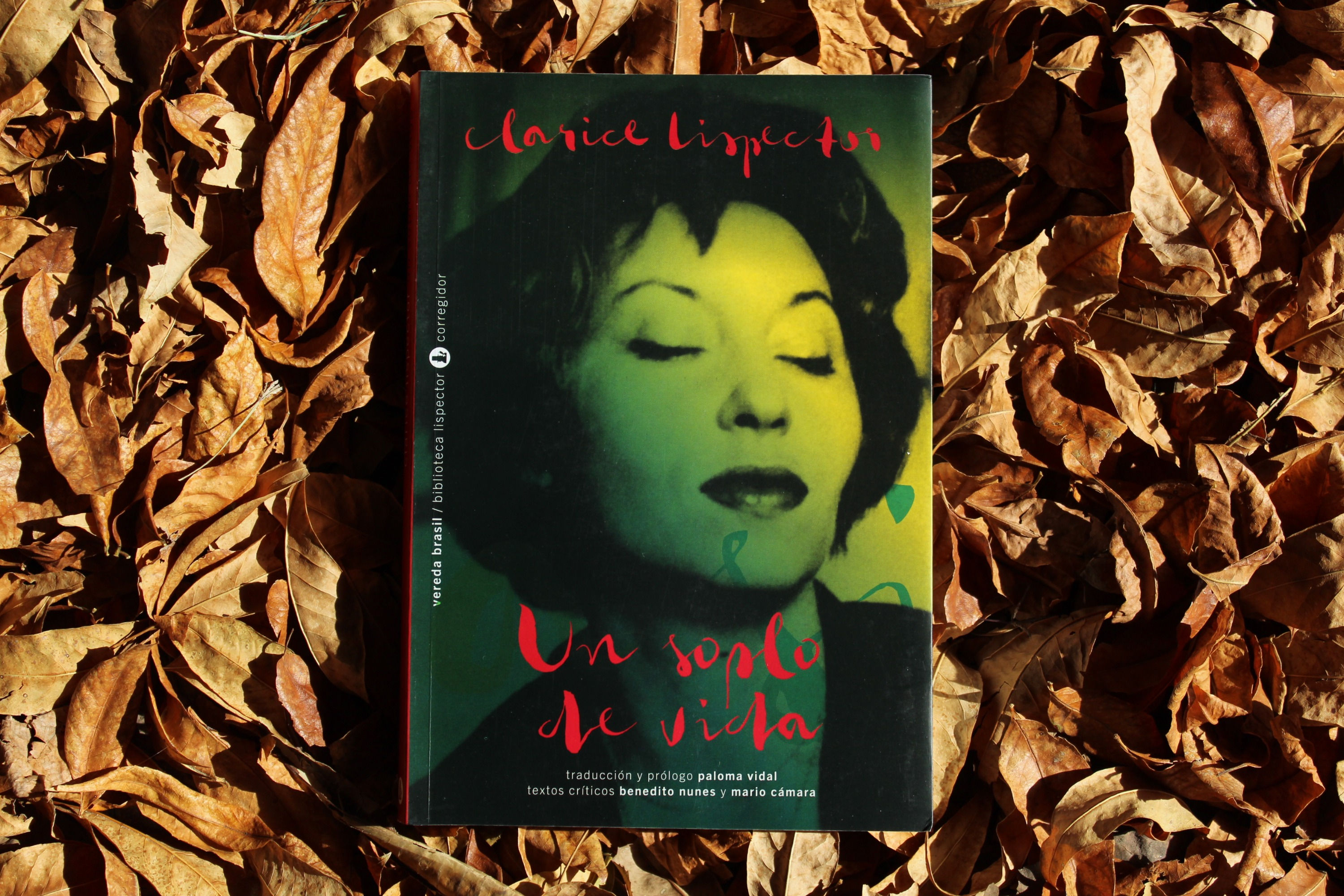 Un soplo de vida - Clarice Lispector