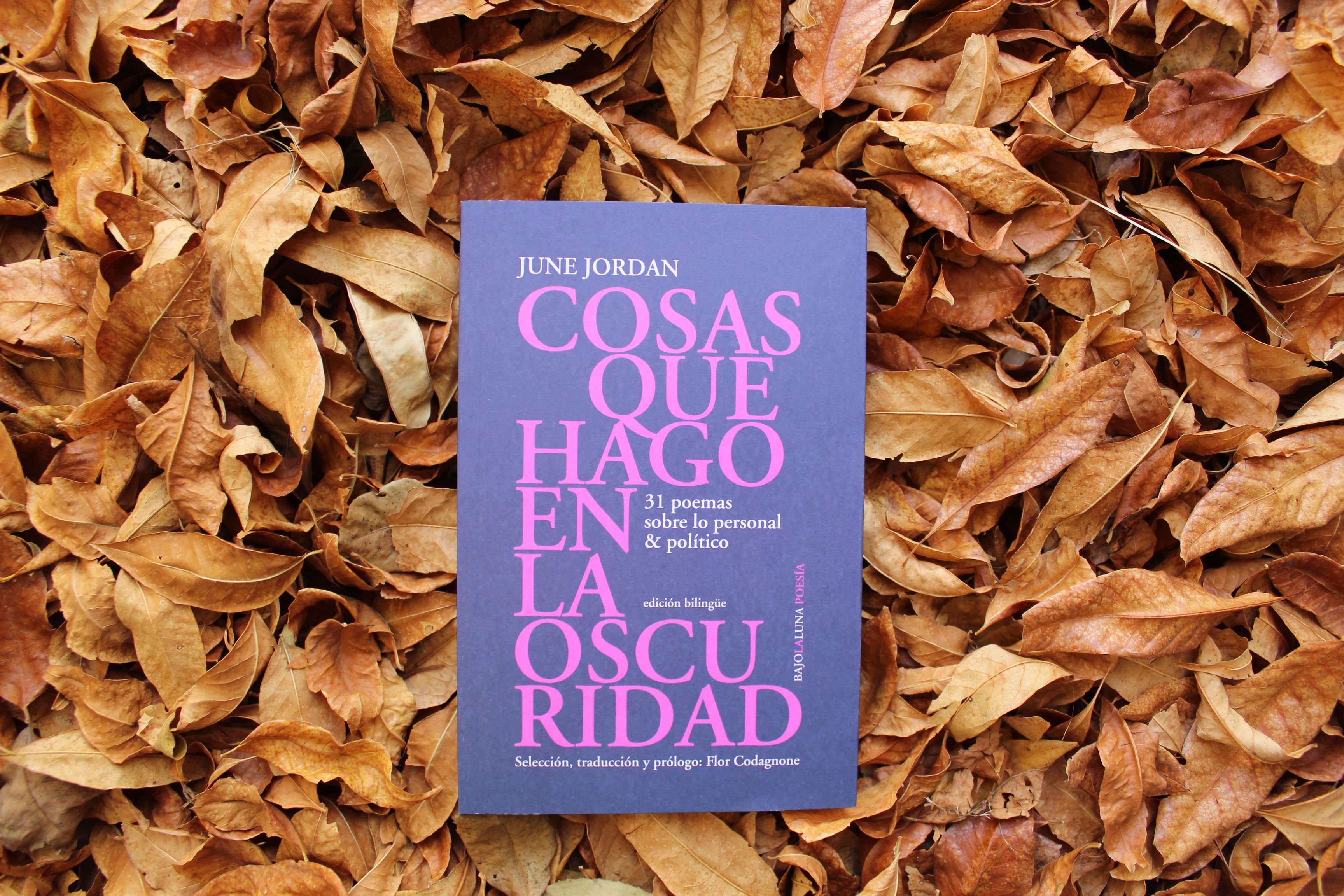 Cosas que hago en la oscuridad - June Jordan