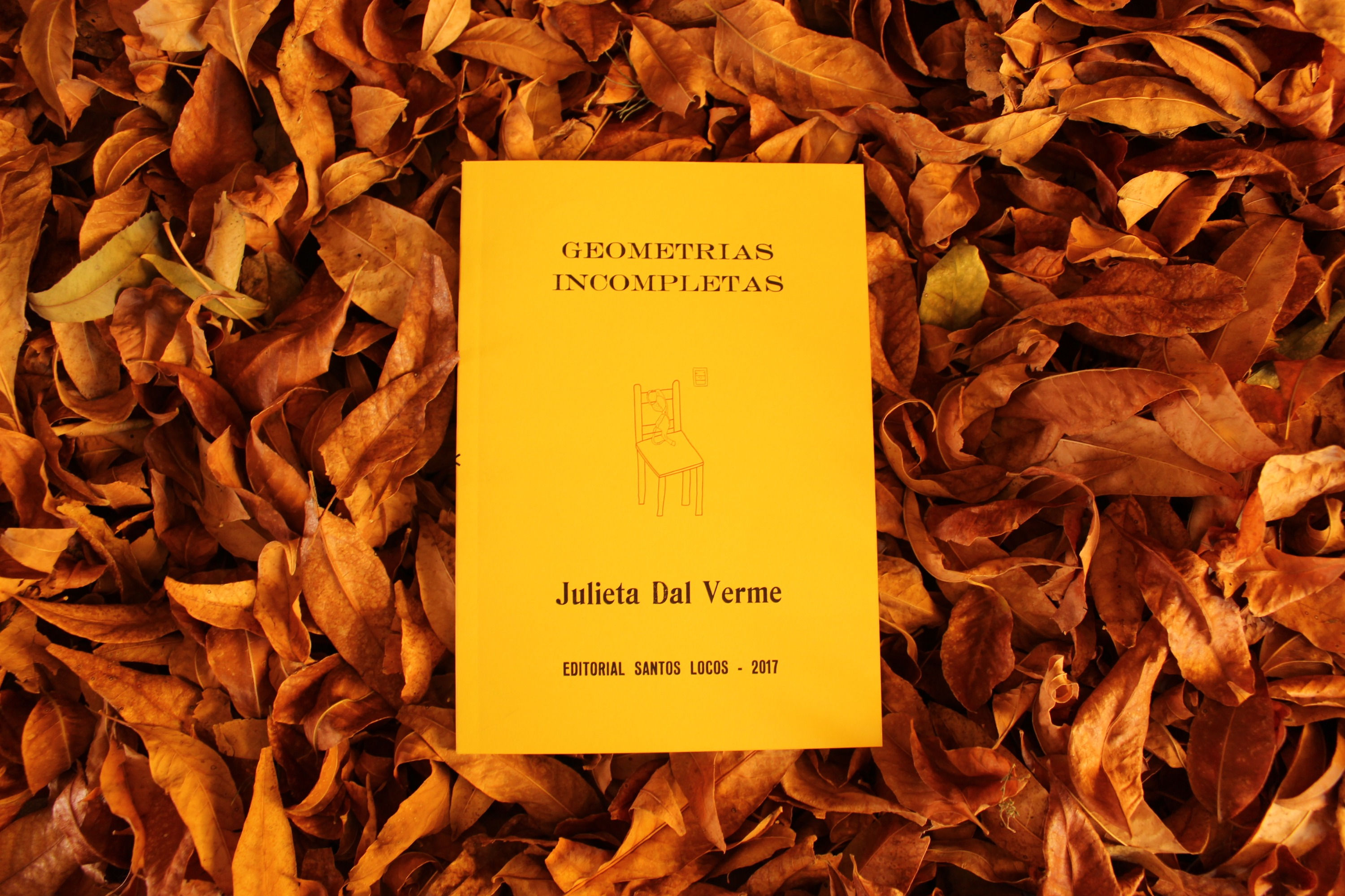 Geometrías Incompletas - Julieta Dal Verme