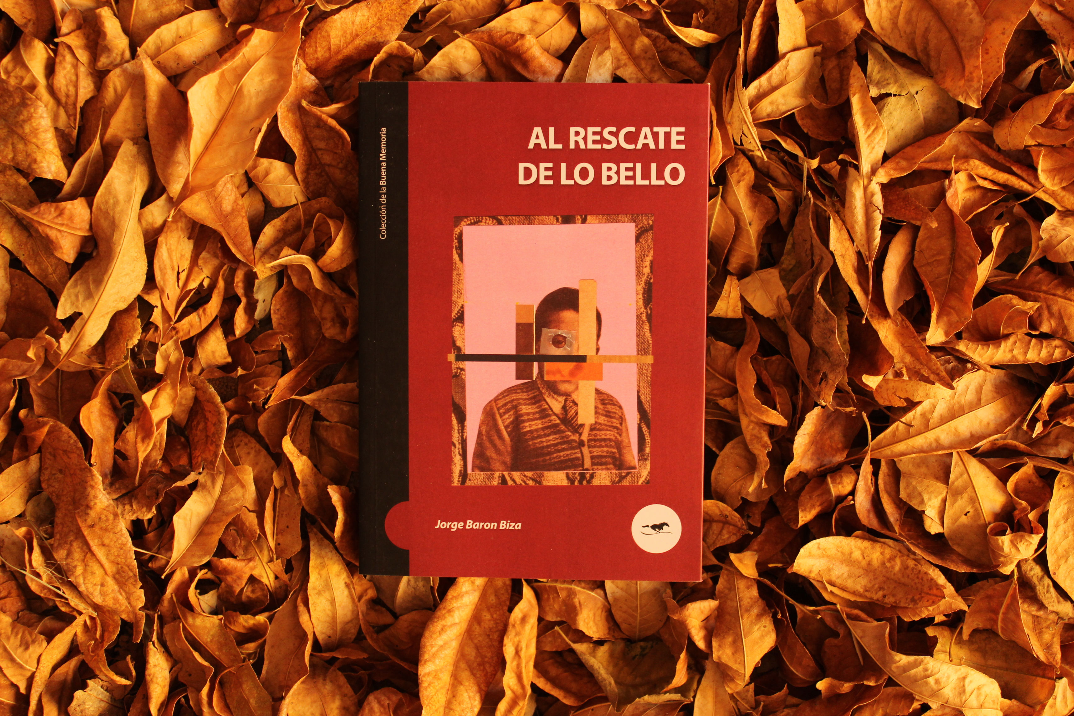 Al rescate de lo bello - Jorge Barón Biza