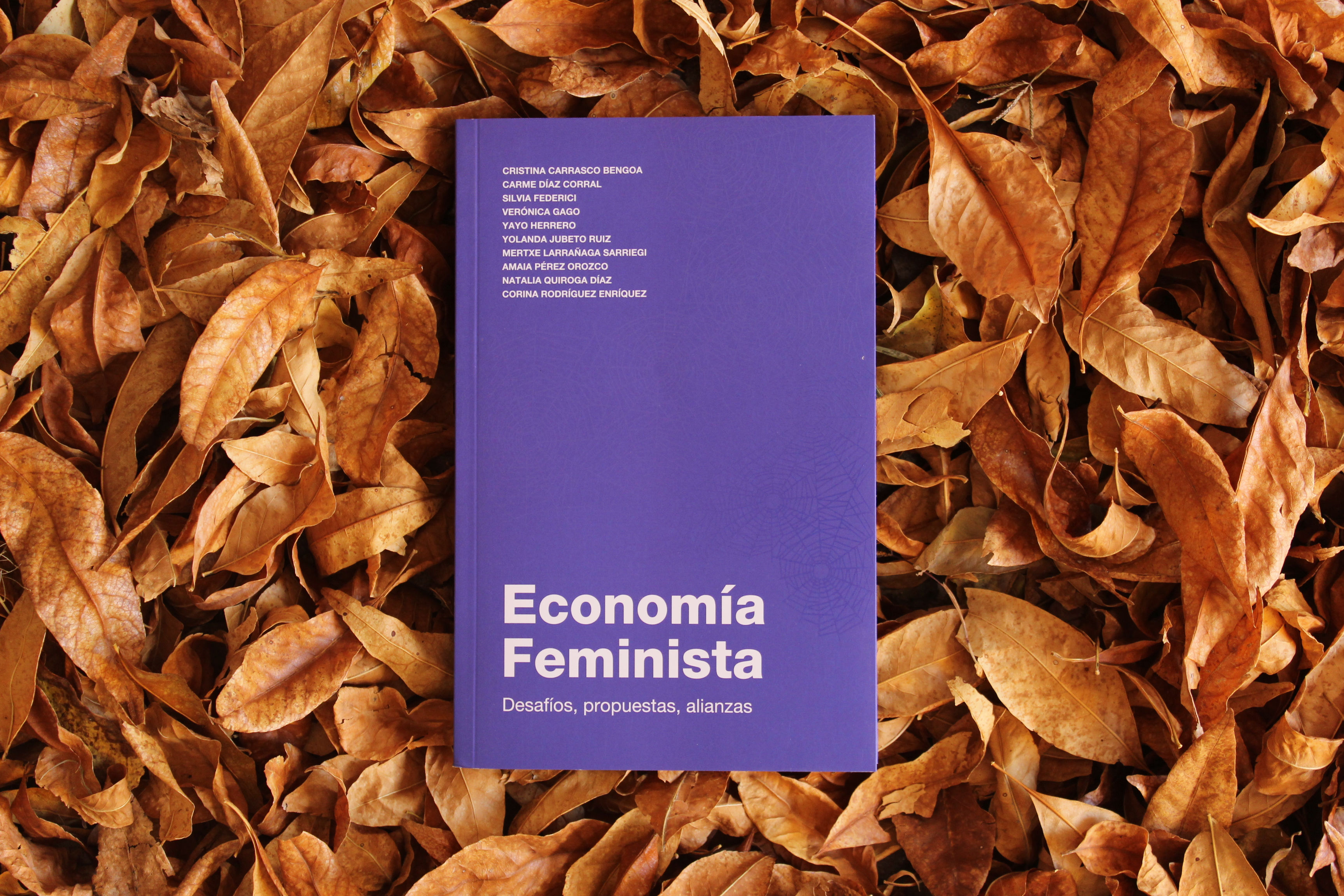 Economía Feminista - Autoras varias
