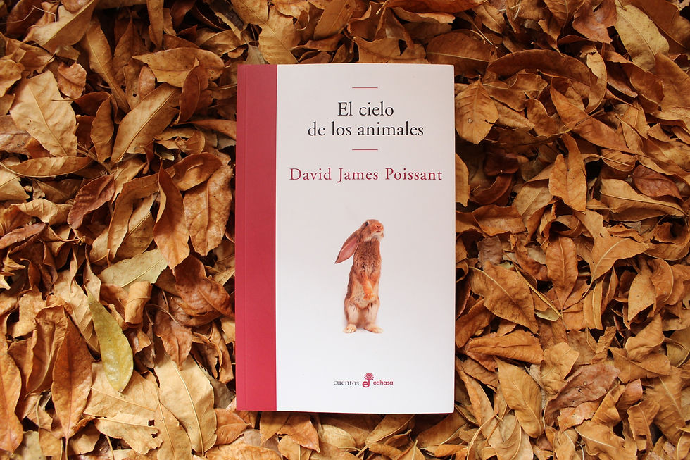 El cielo de los animales - David James Poissant