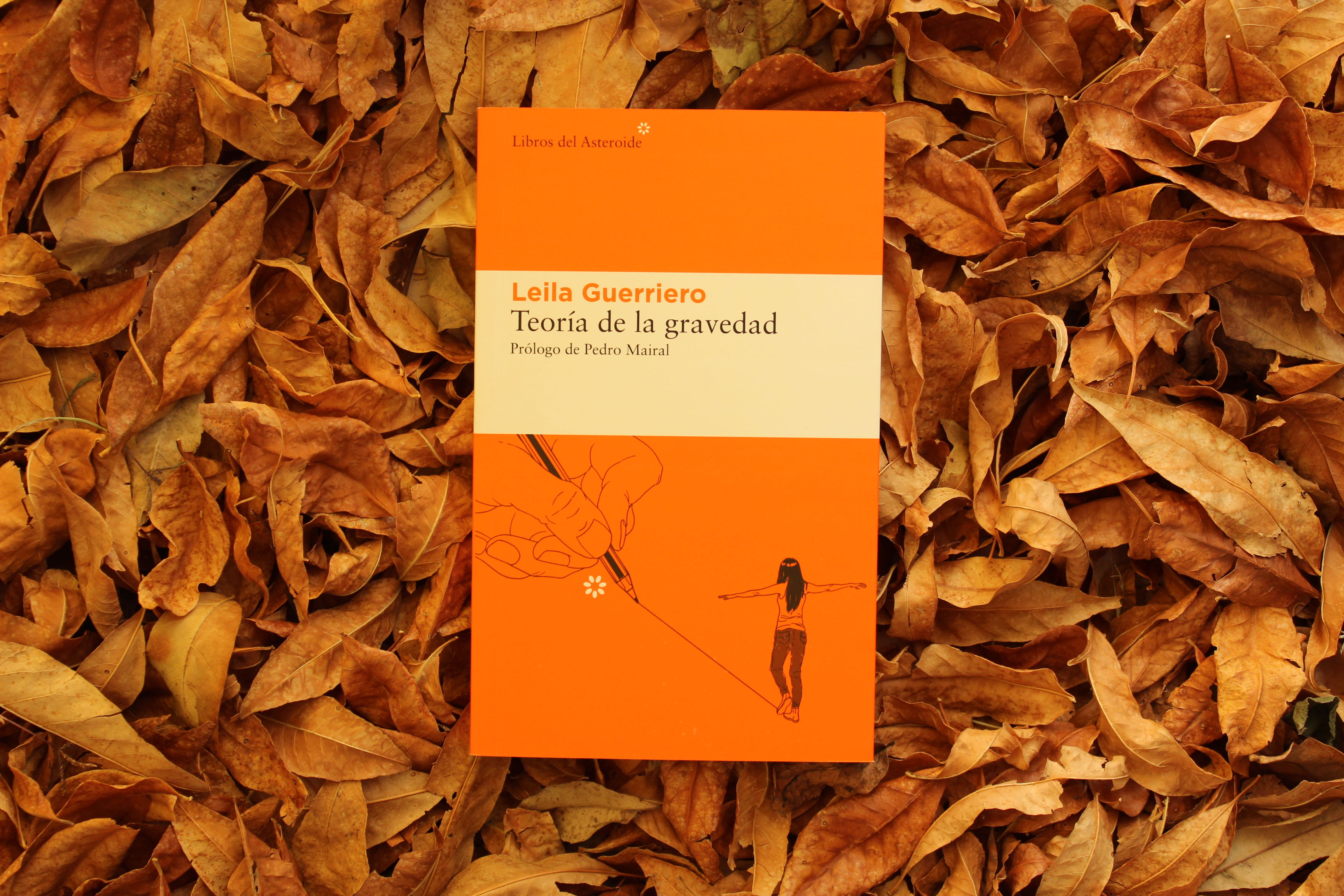 Teoría de la gravedad - Leila Guerriero