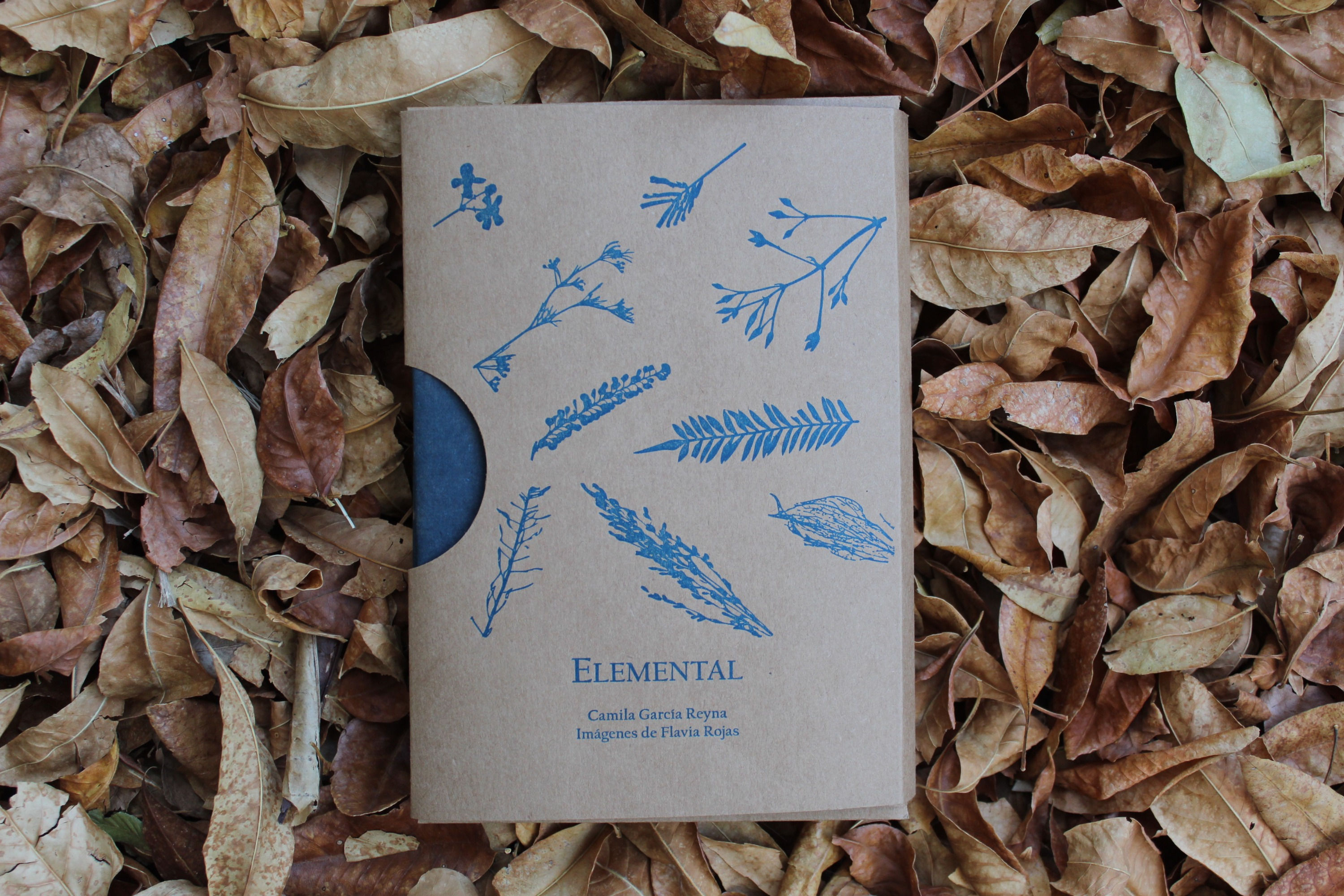 Elemental - Camila García Reyna