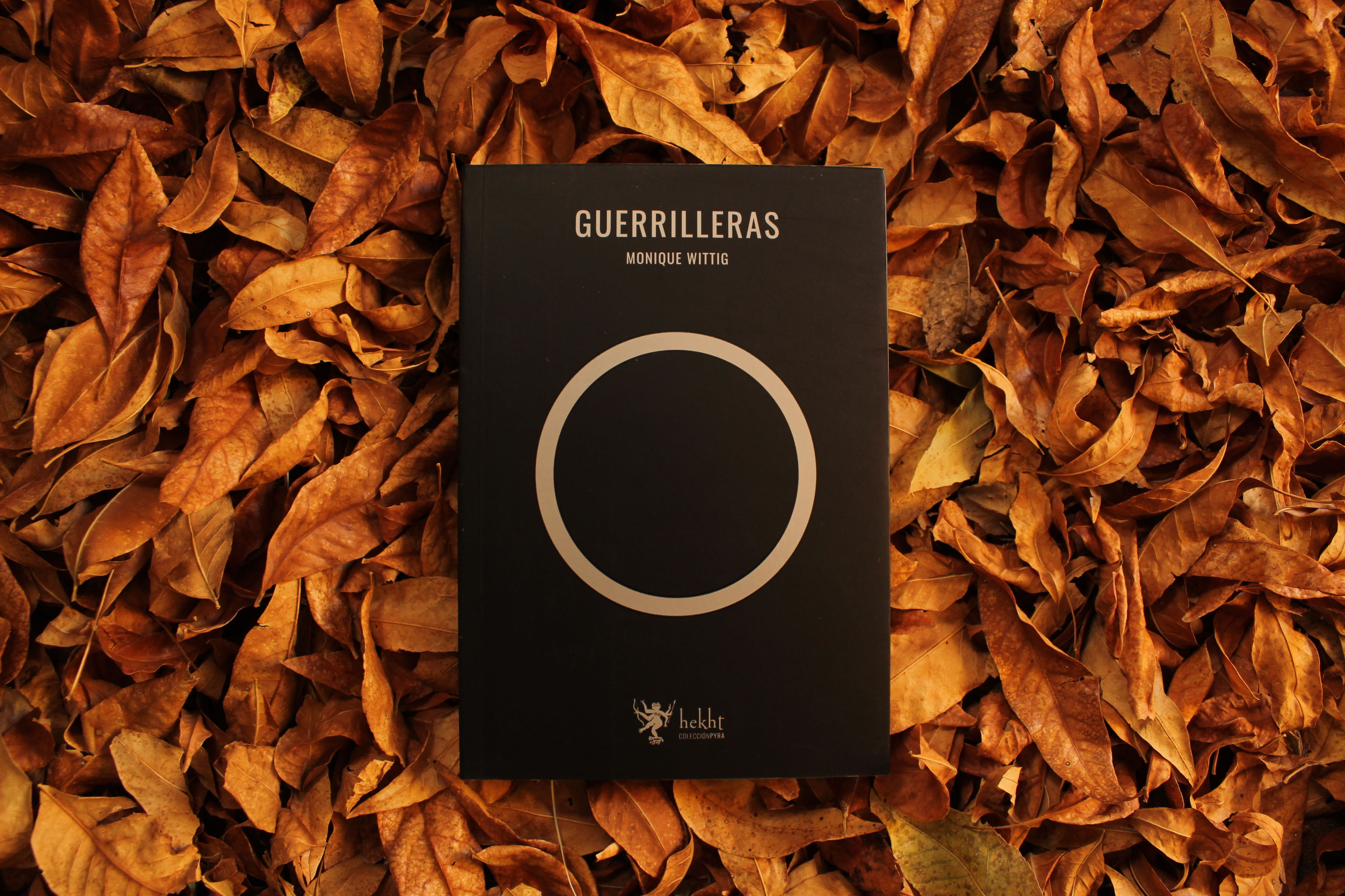 Guerrilleras - Monique Wittig