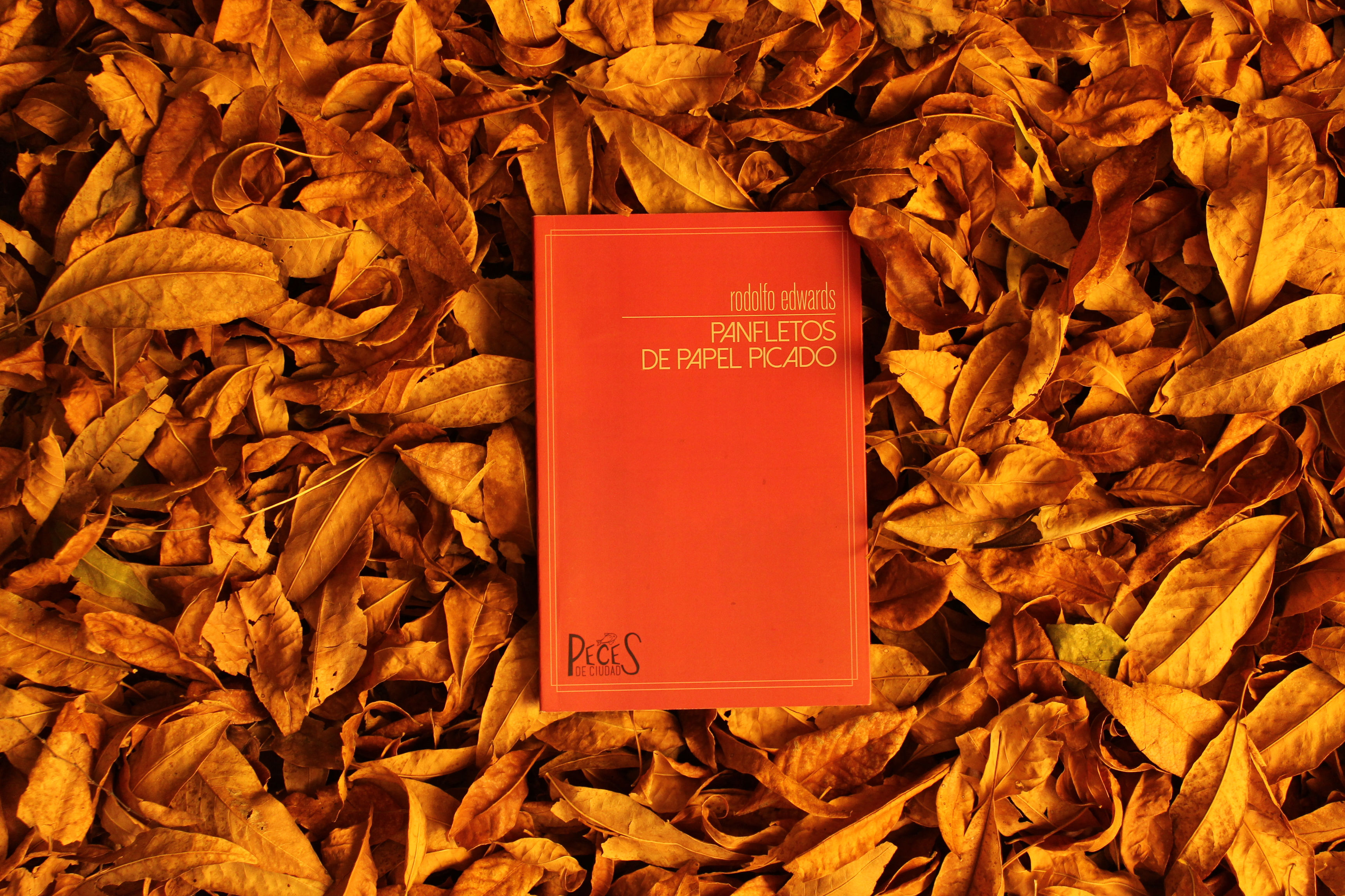 Panfletos de papel picado - Rodolfo Edwars