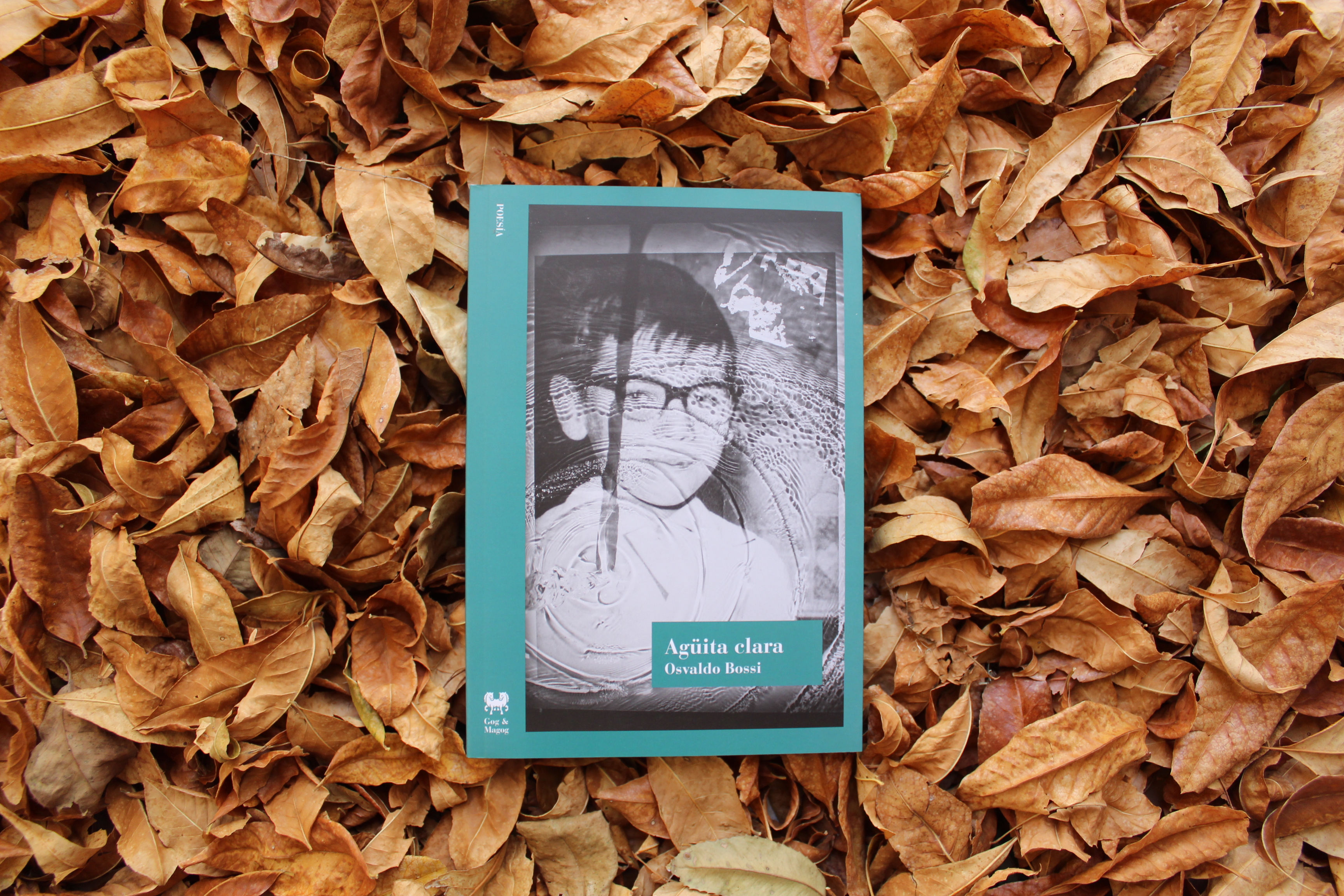 Agüita clara - Osvaldo Bossi