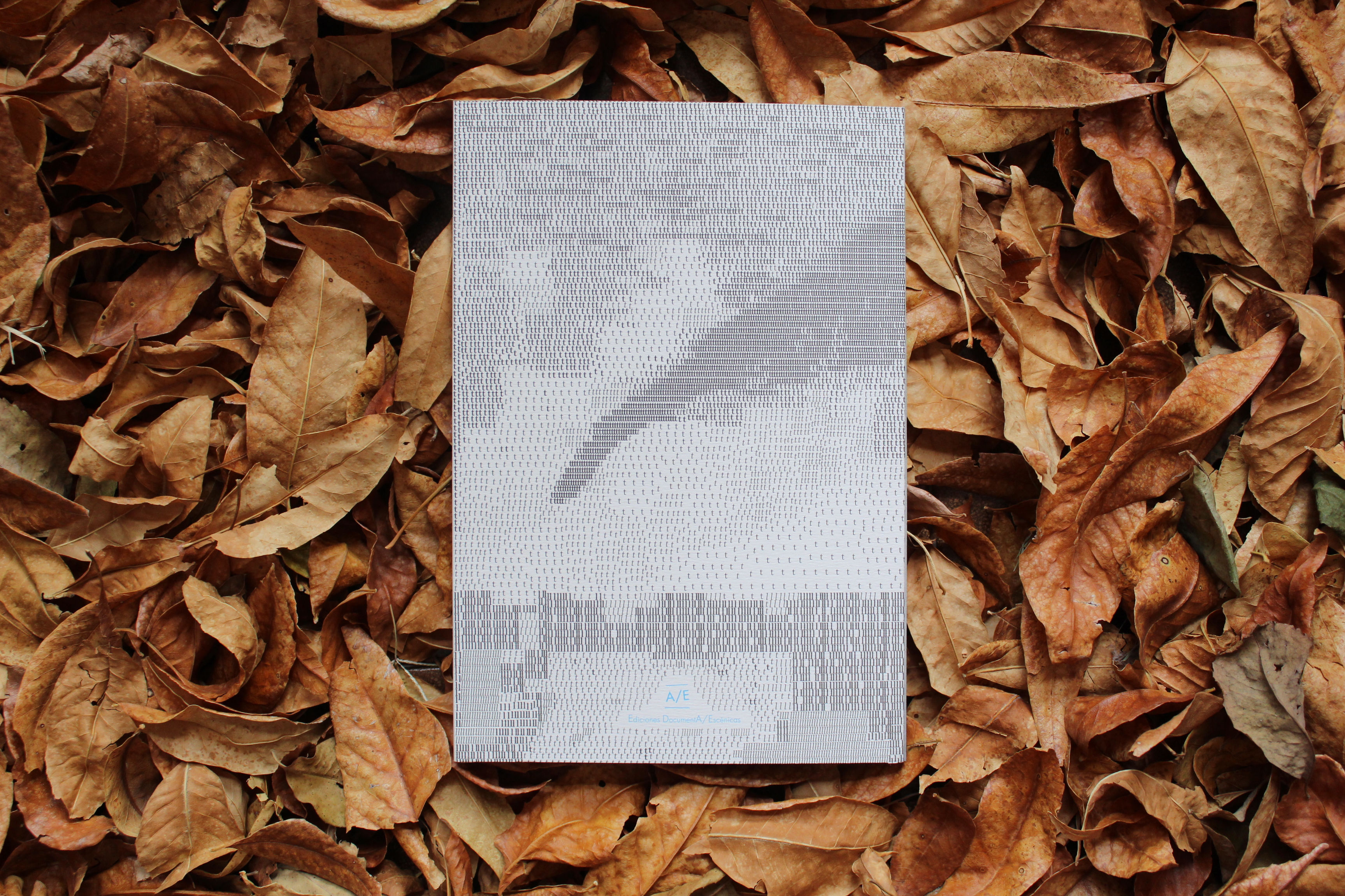 La boca de la tormenta - Eugenia Almeida