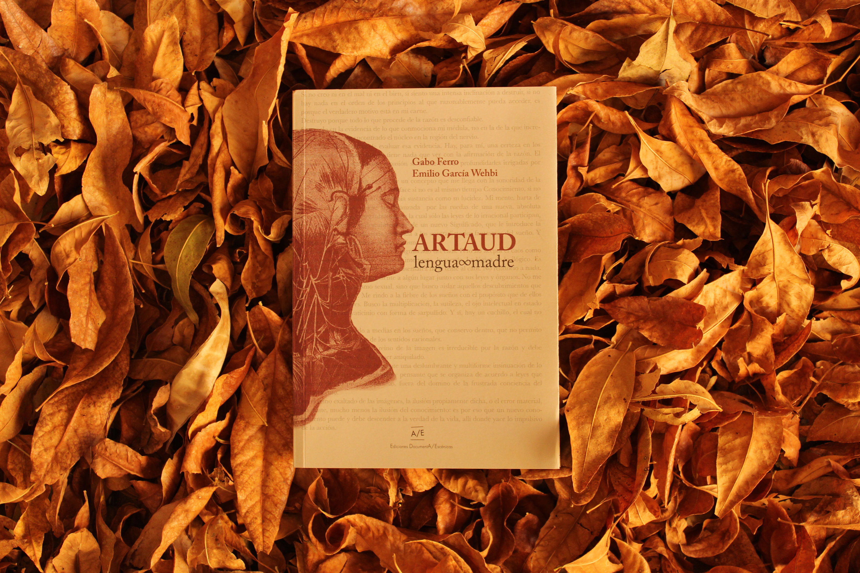 Artaud, lengua madre - Gabo Ferro, García Wehbi