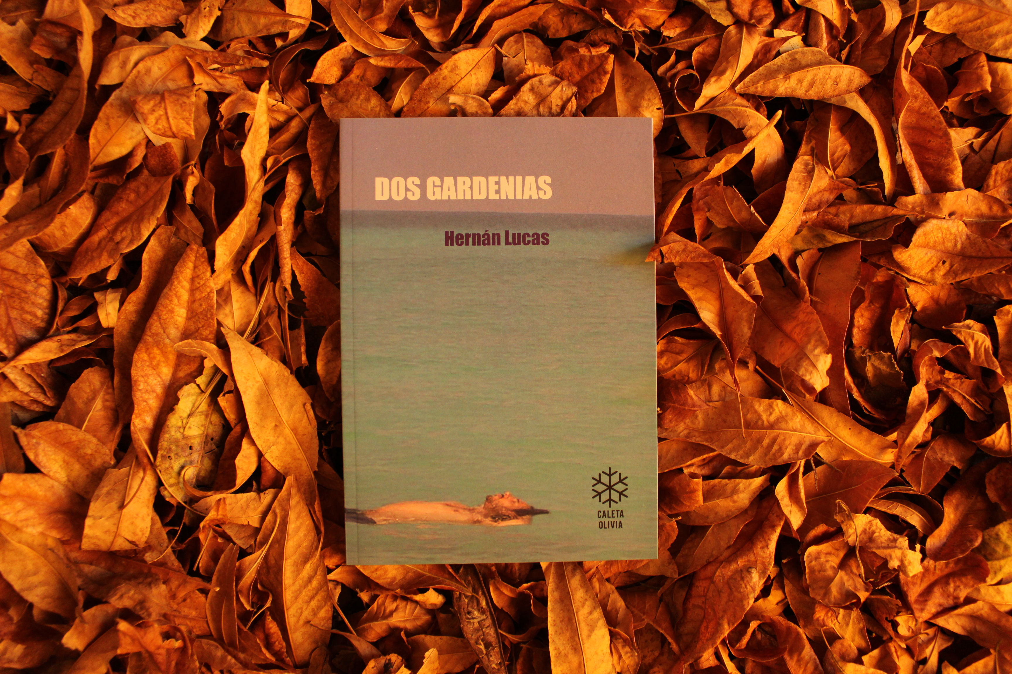 Dos gardenias - Hernán Lucas