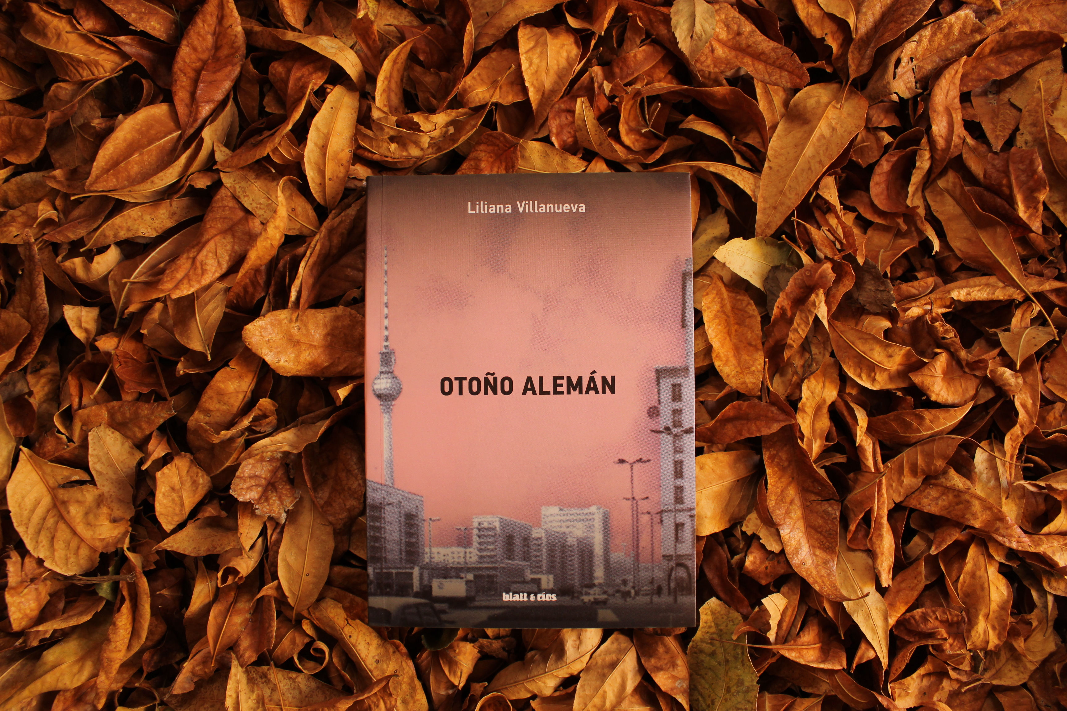 Otoño alemán - Liliana Villanueva