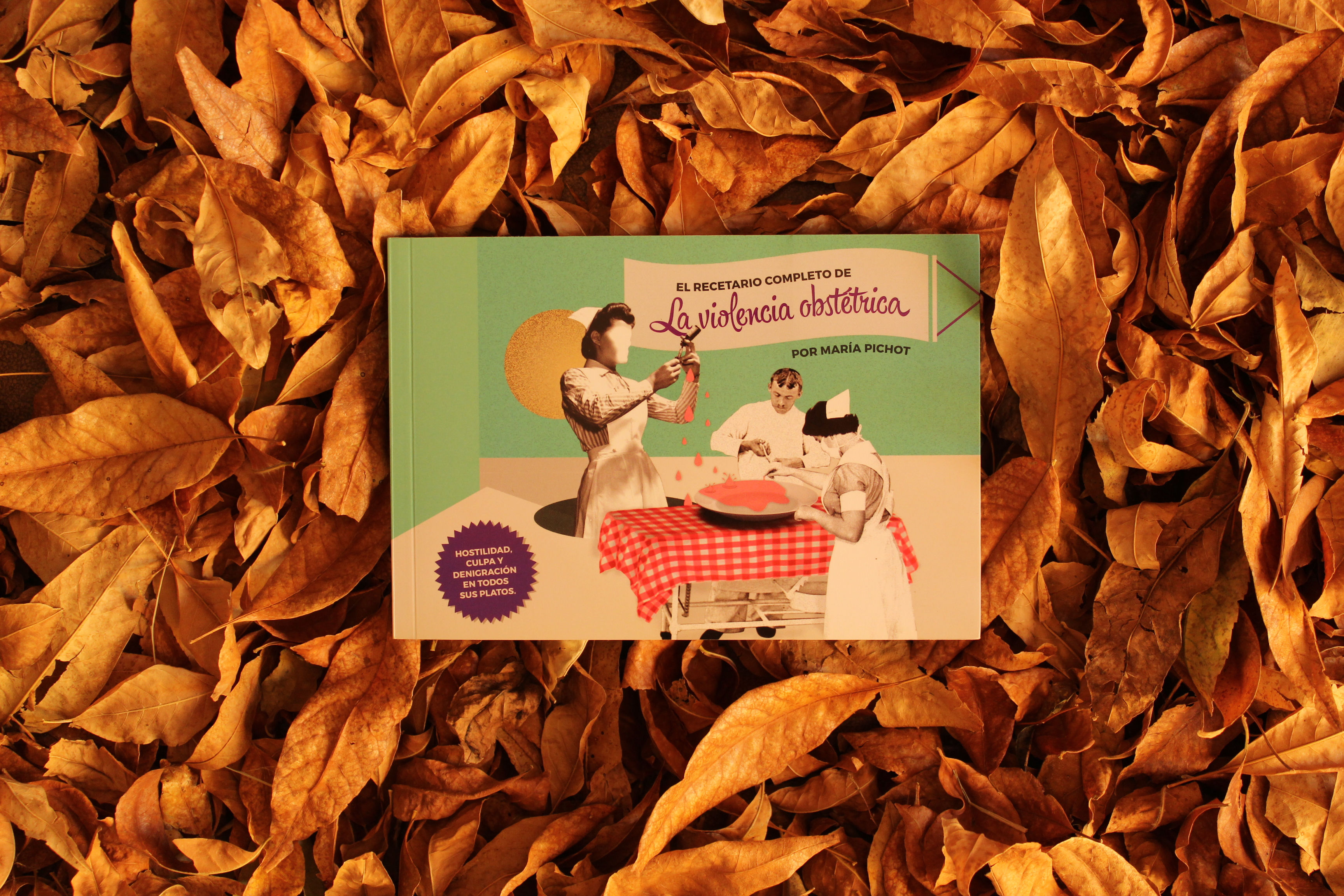 El recetario completo de la violencia obtétrica - María Pichot