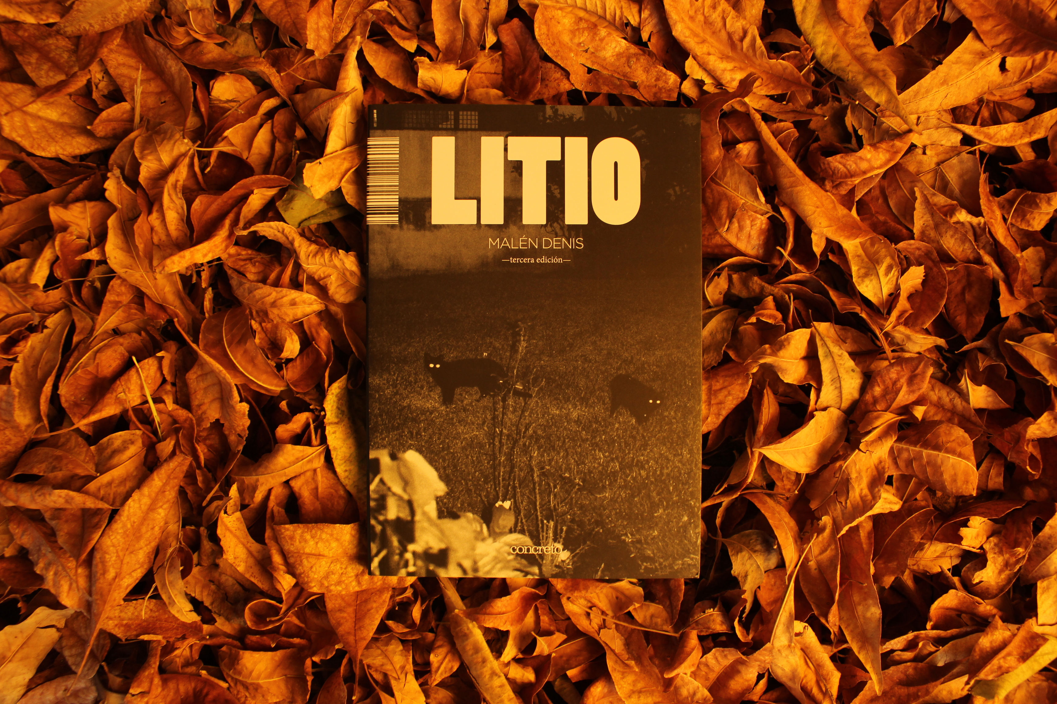 Litio - Malén Denis