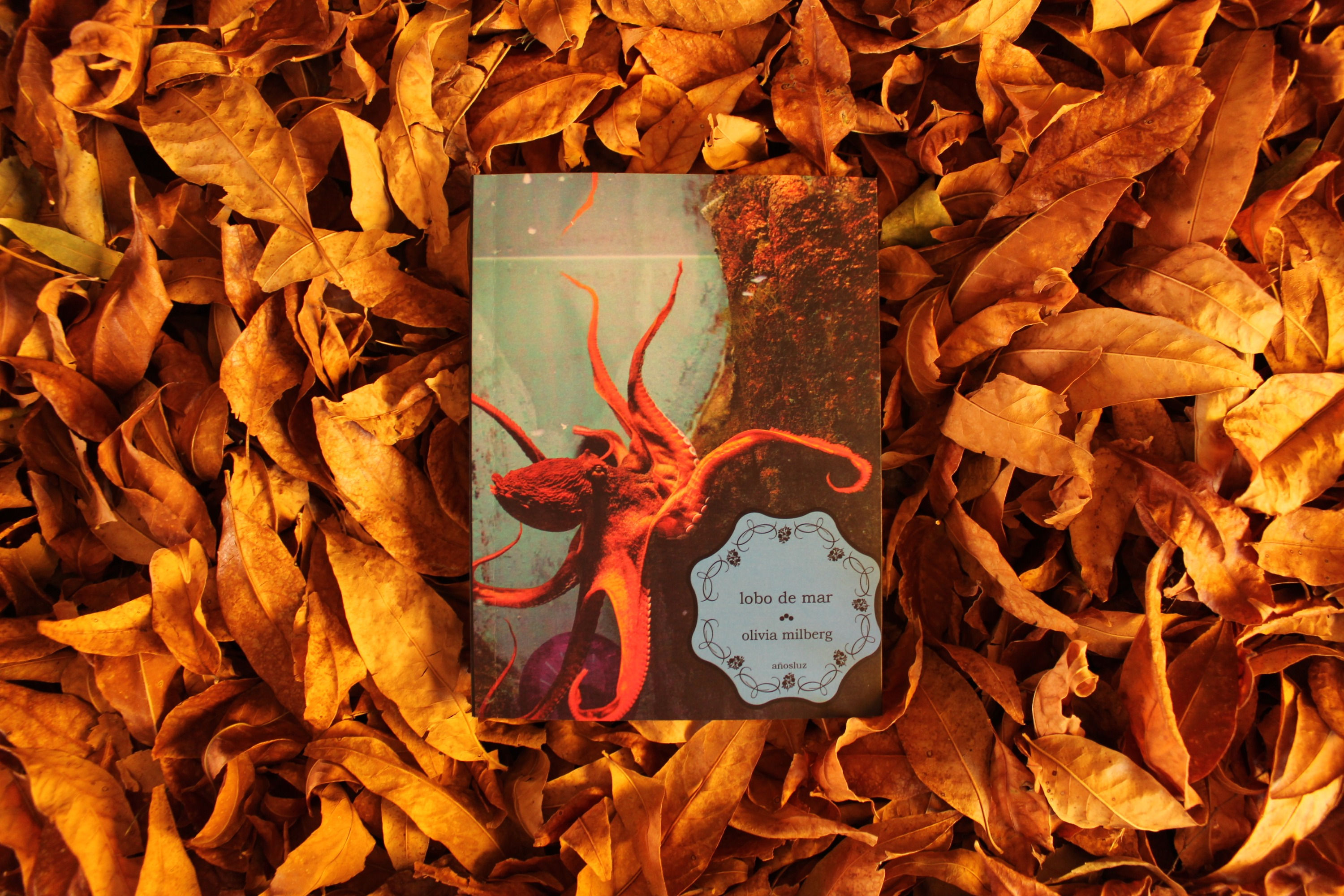 Lobo de mar - Olivia Milberg