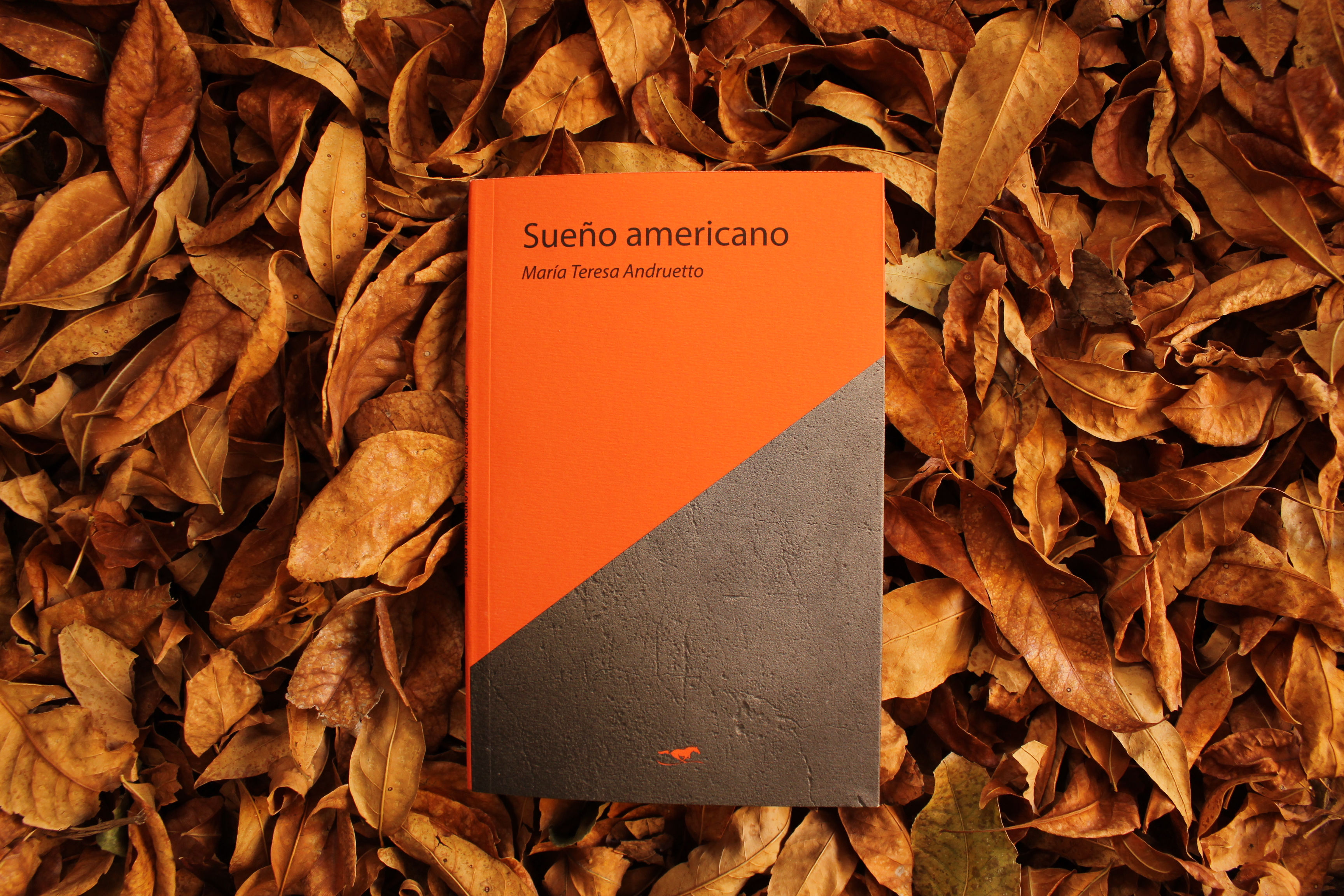 Sueño Americano - María Teresa Andruetto