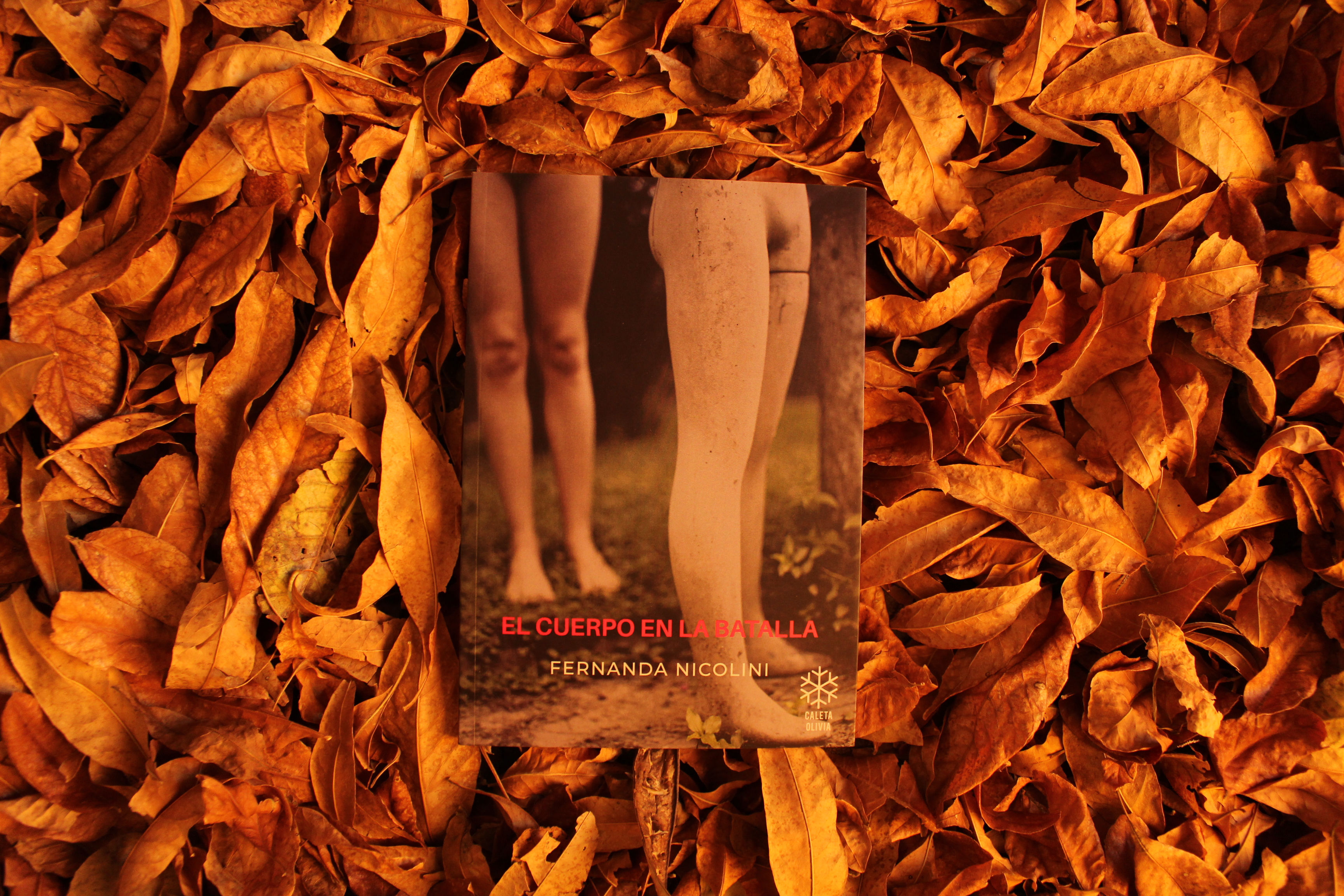El cuerpo en la batalla - Fernanda Nicolini