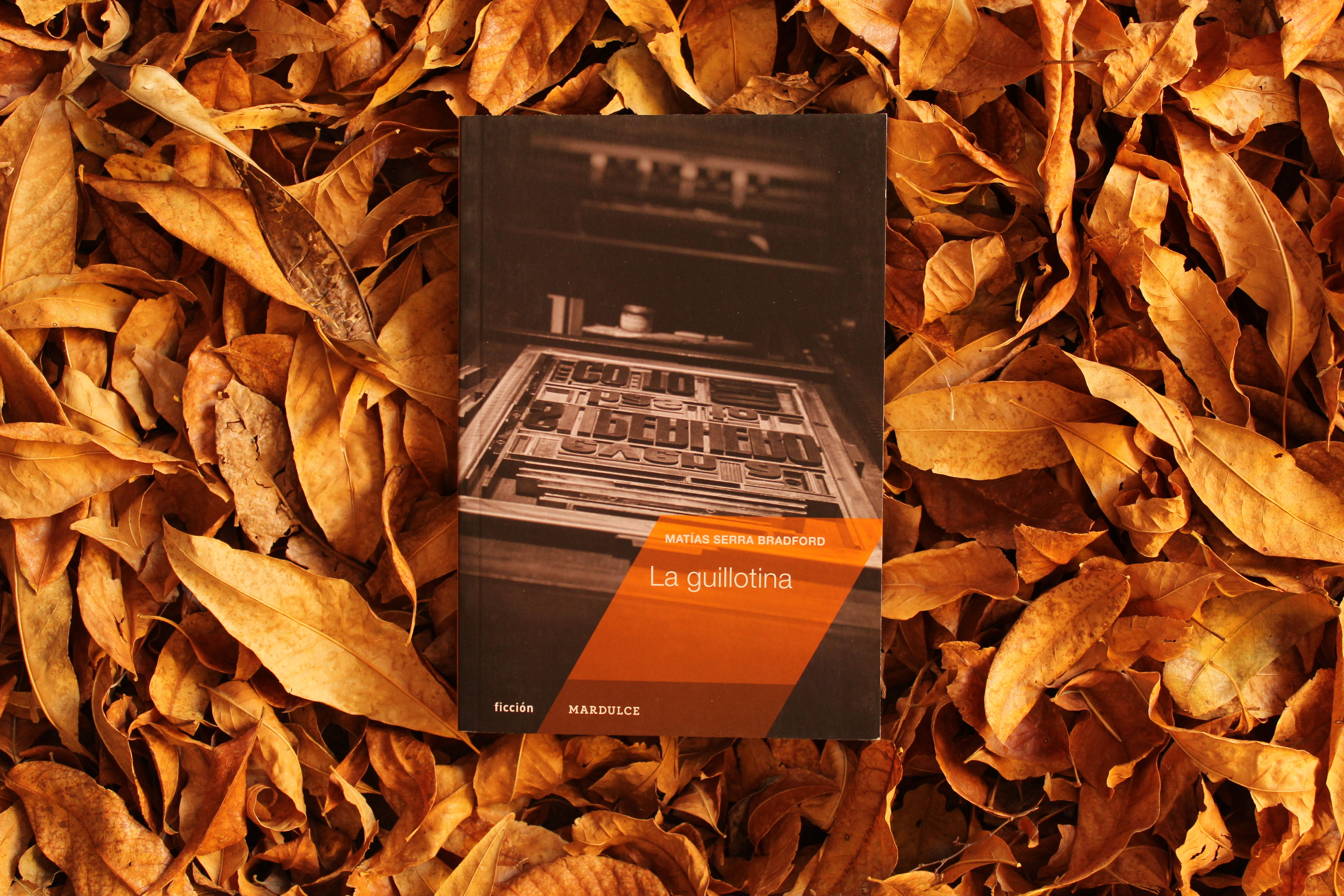 La guillotina - Matías Serra Bradford