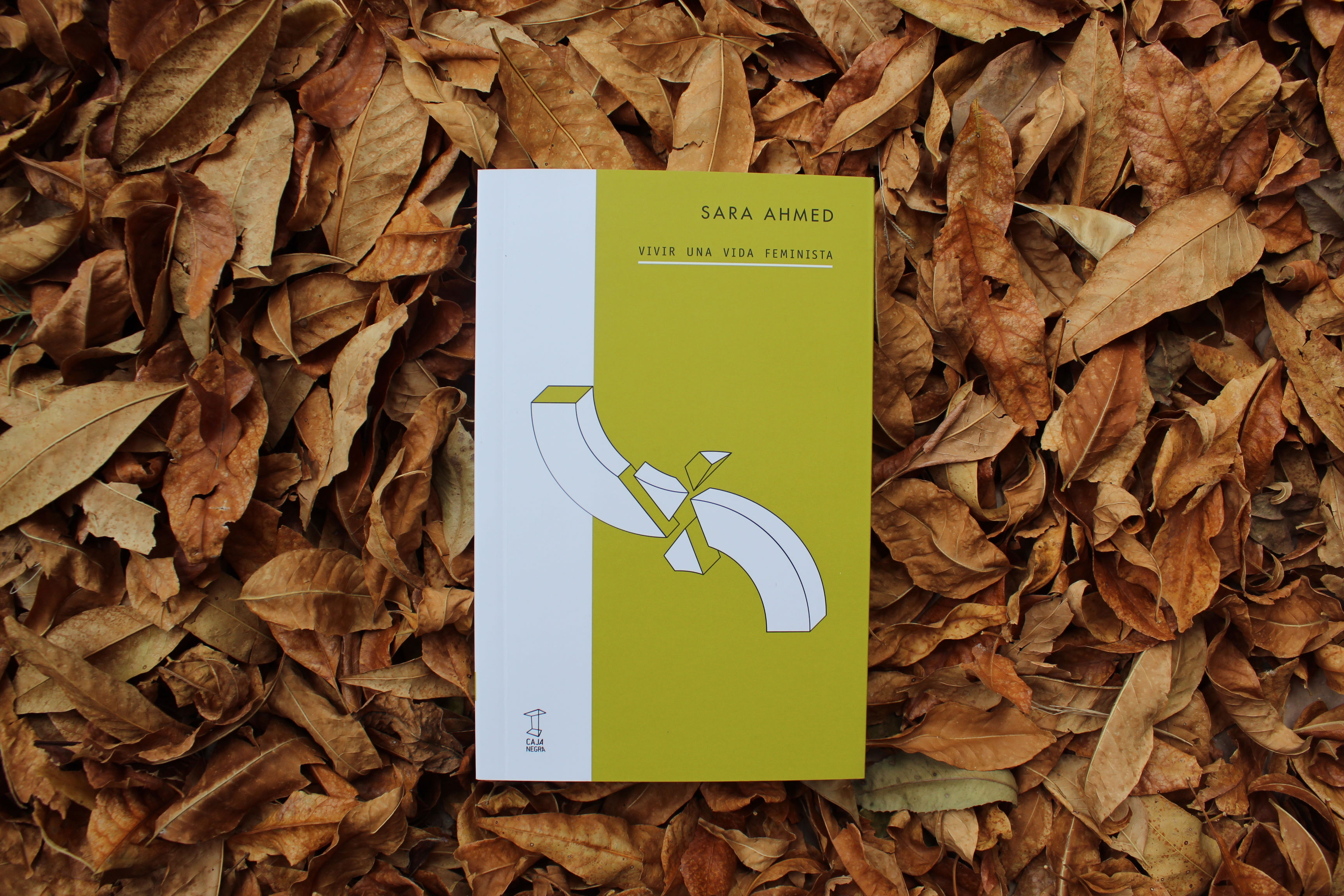 Vivir una vida feminista - Sara Ahmed
