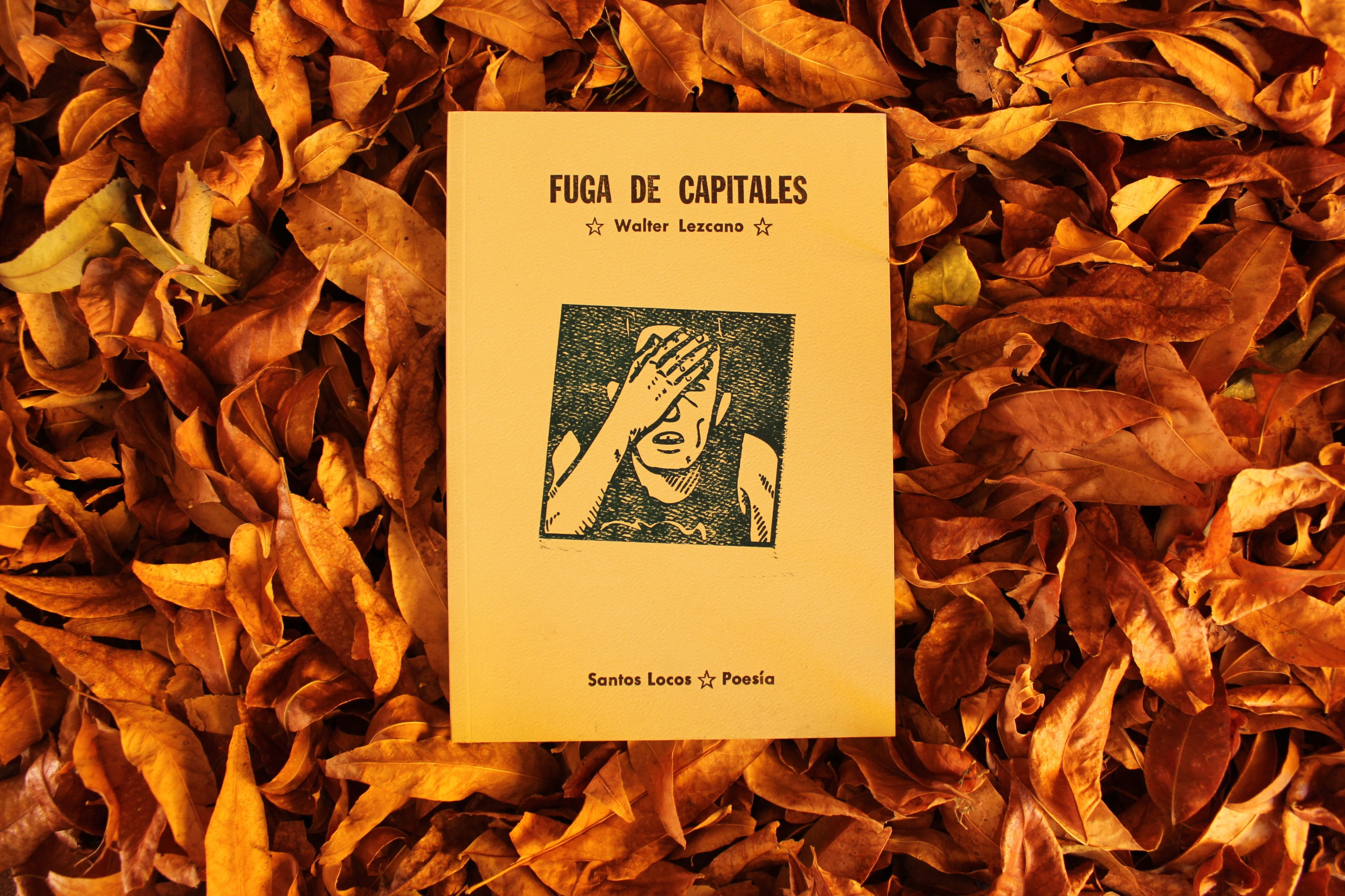 Fuga de capitales - Walter Lezcano