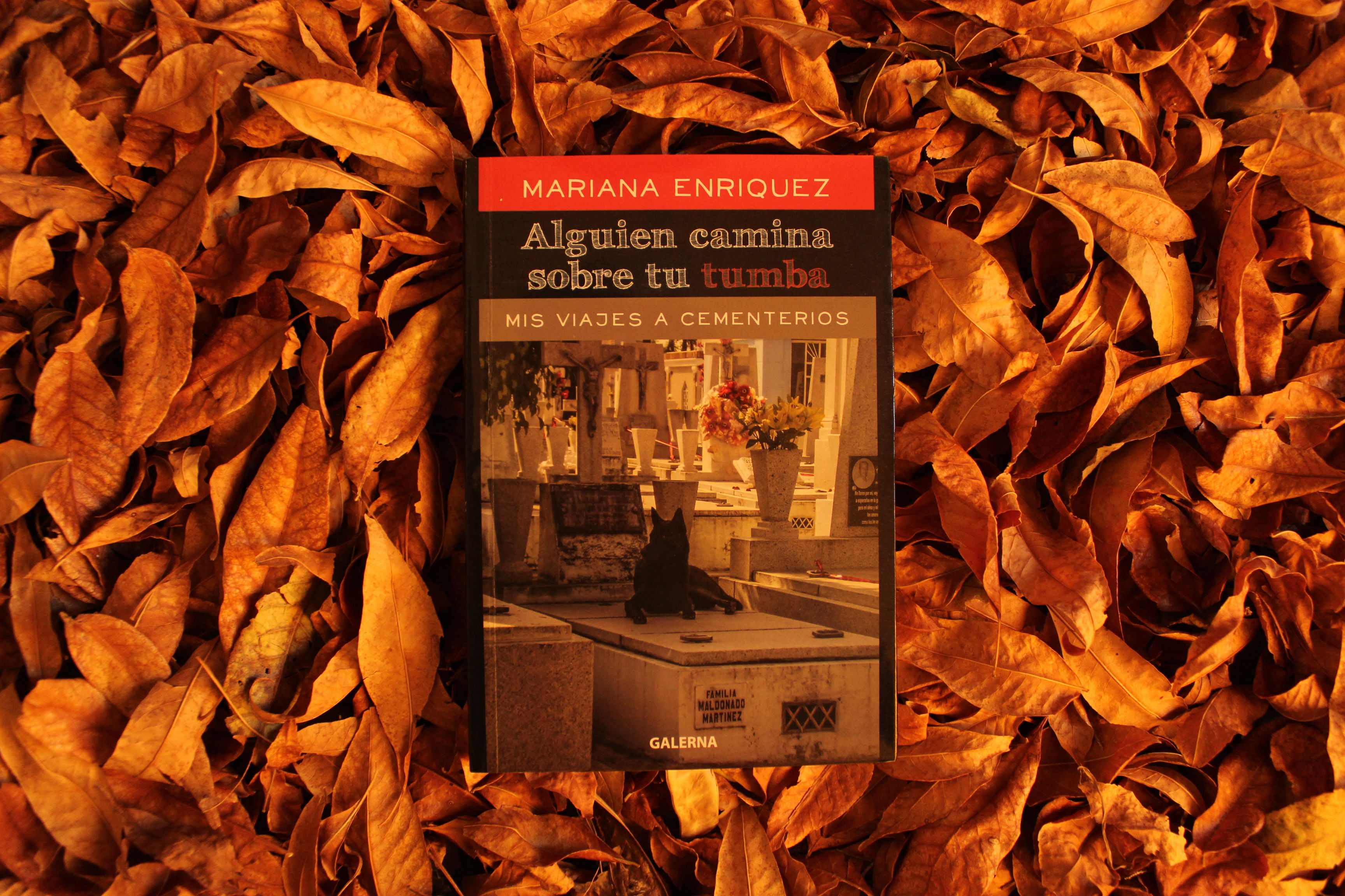 Alguien camina sobre tu tumba - Mariana Enriquez