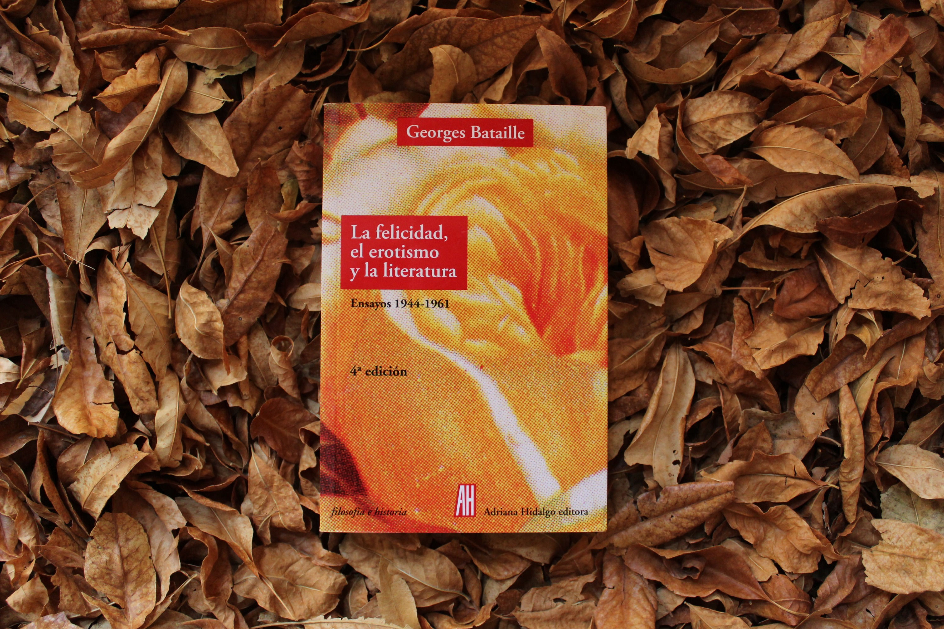 La felicidad, el erotismo y la literatura - Georges Bataille