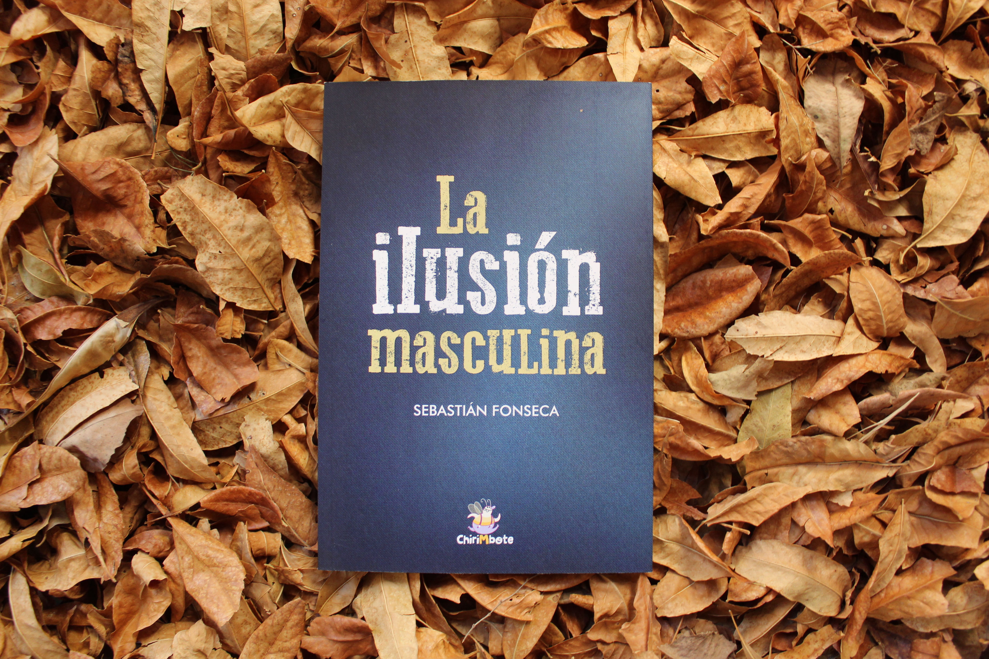 La ilusión masculina - Sebastián Fonseca