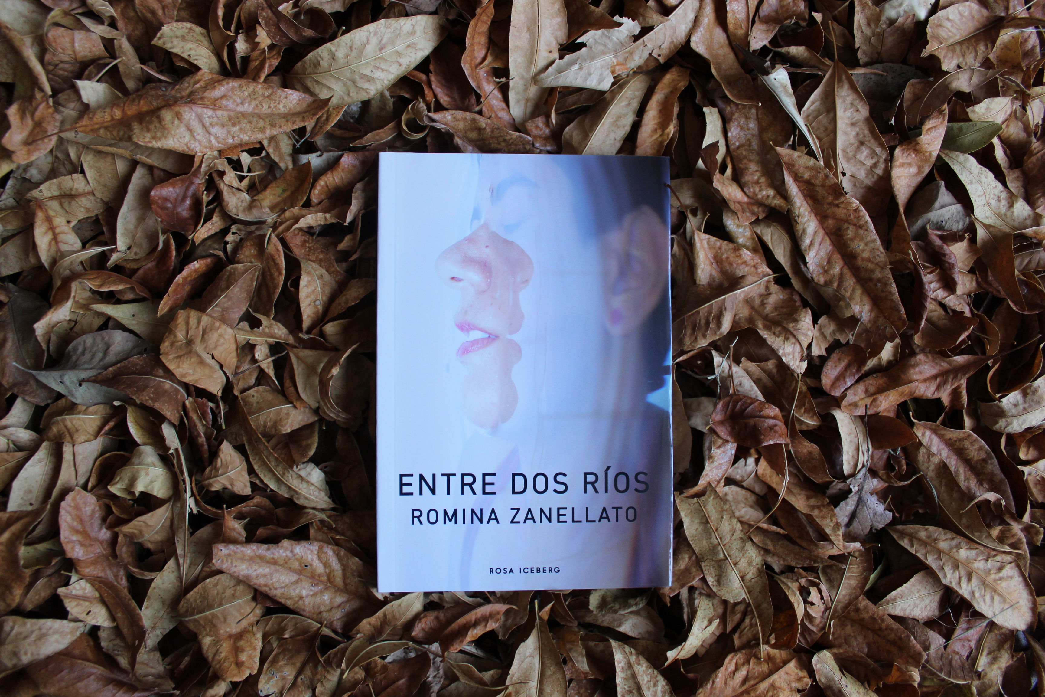 Entre dos ríos - Romina Zanellato