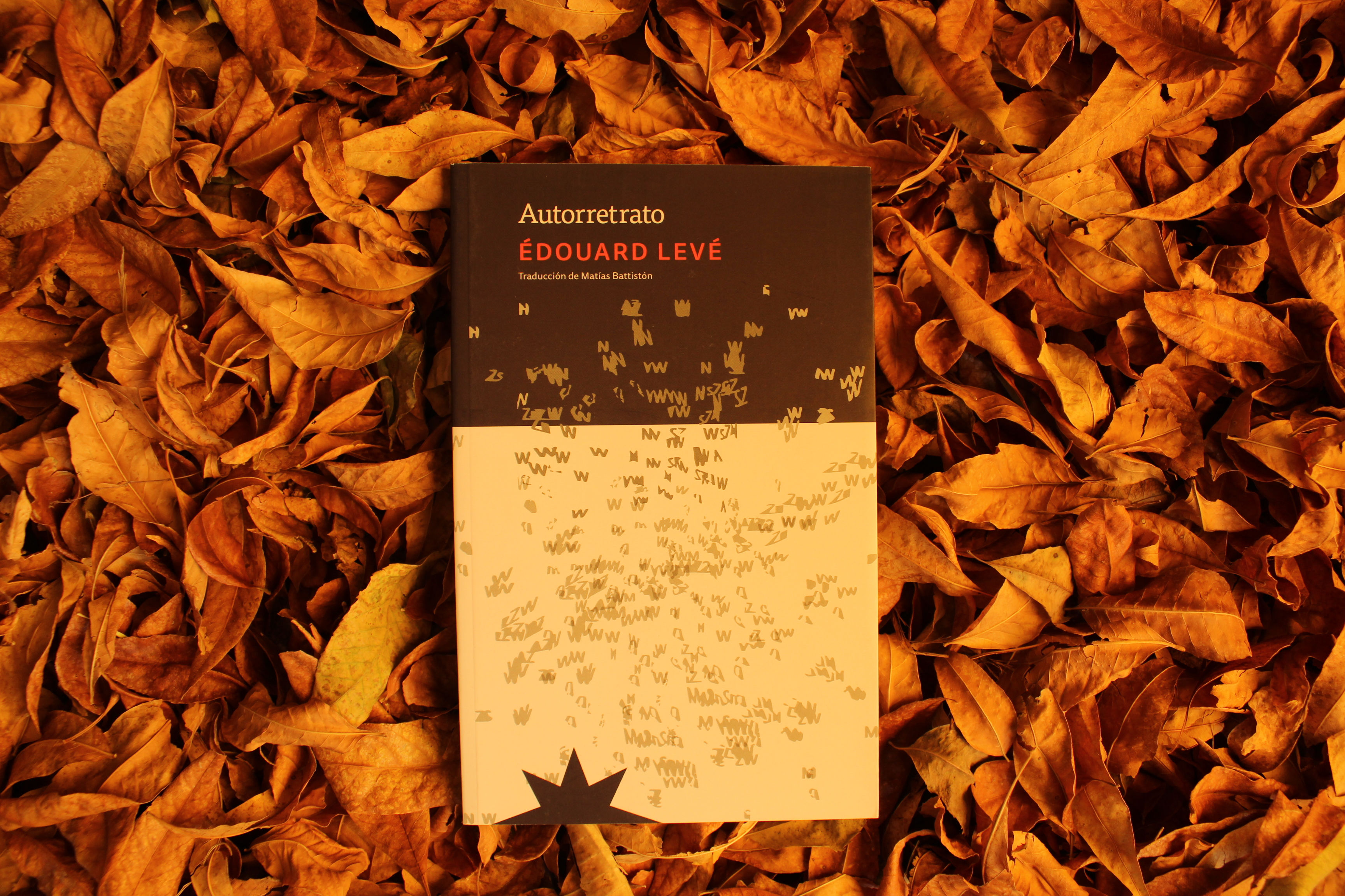 Autorretrato - Édouard Levé