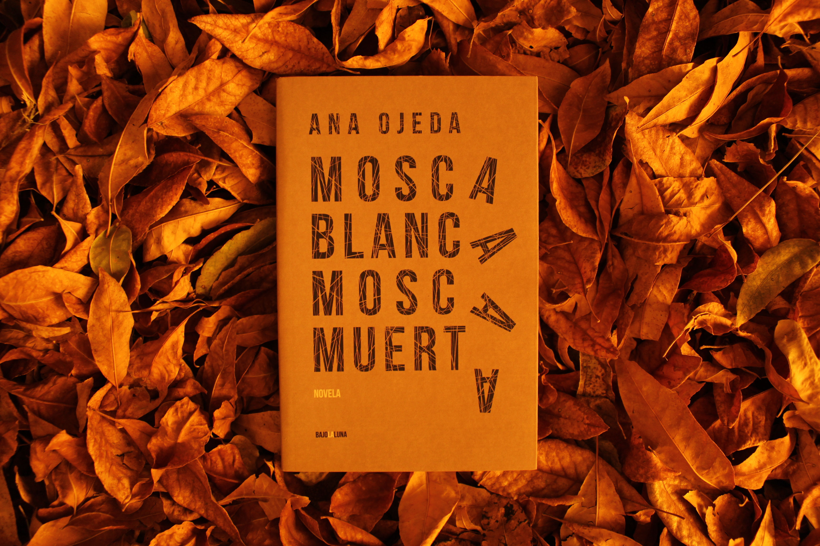 Mosca blanca mosca muerta - Ana Ojeda