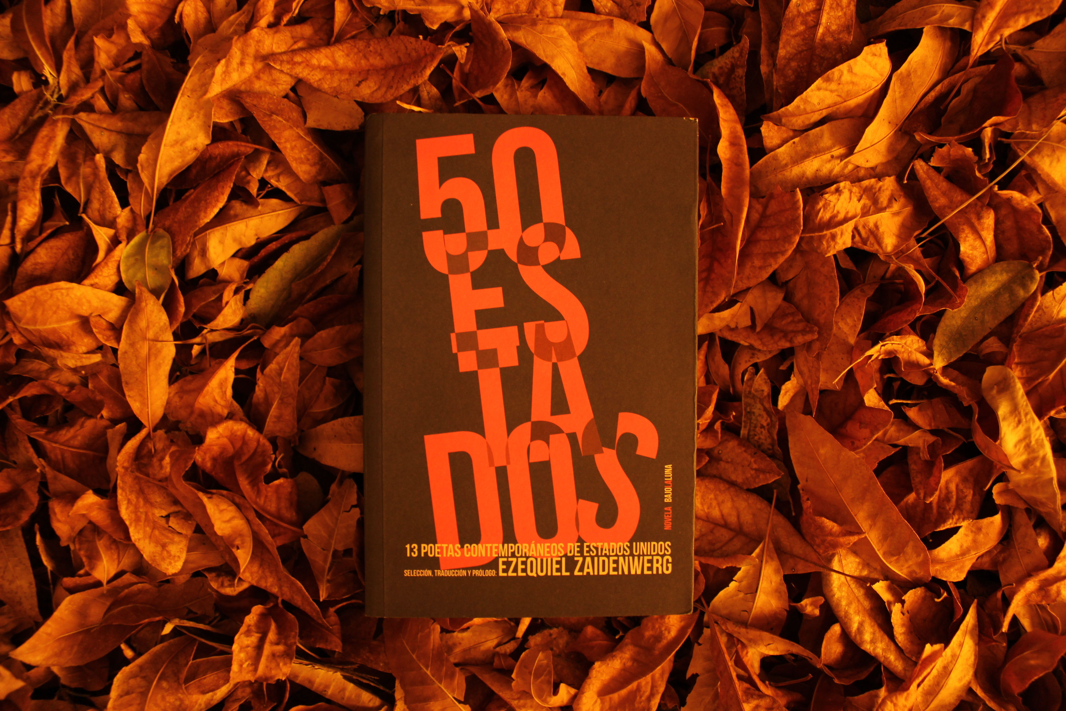 50 Estados. 13 Poetas contemporáneos de Estados Unidos