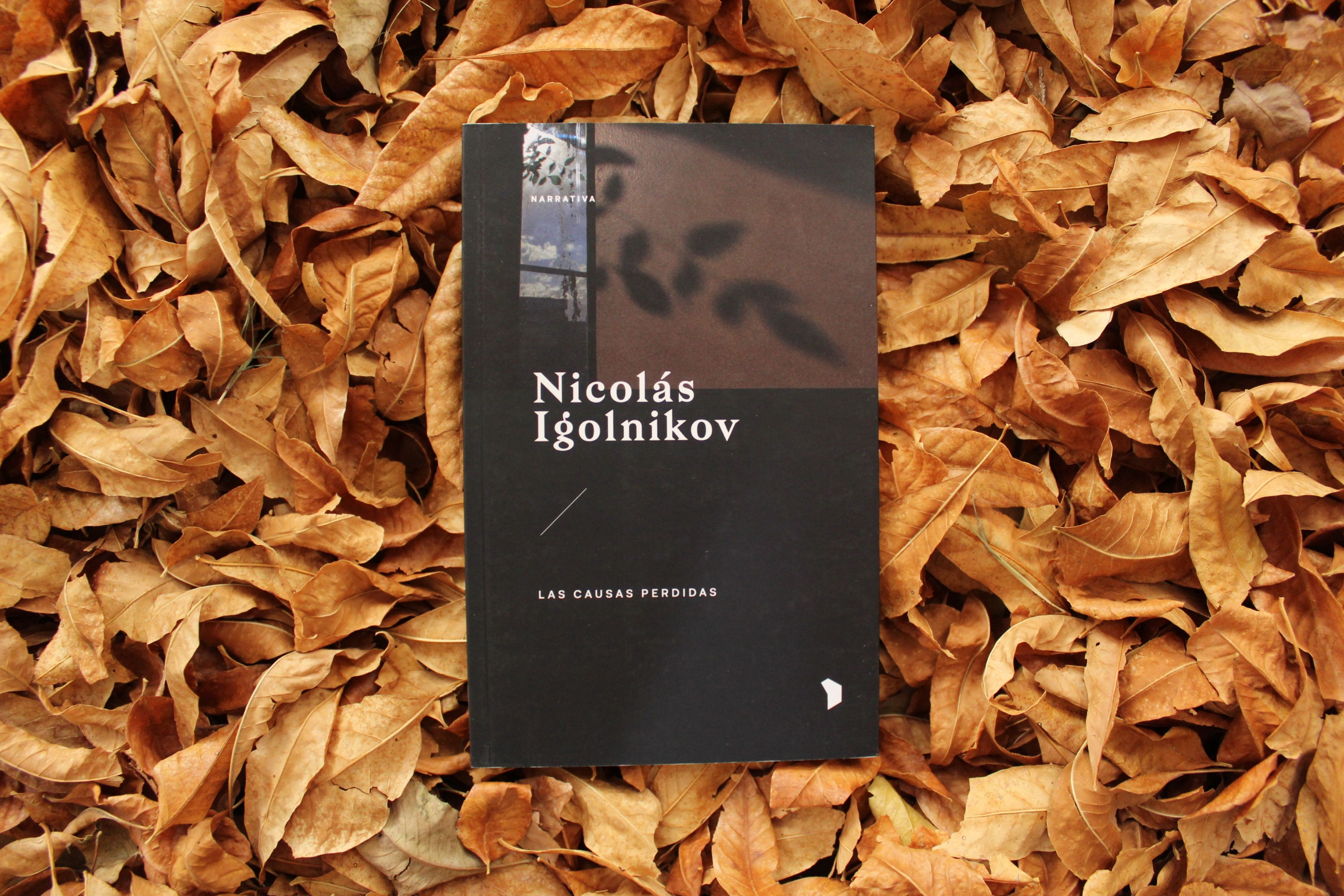 Las causas perdidas - Nicolás Igolnikov
