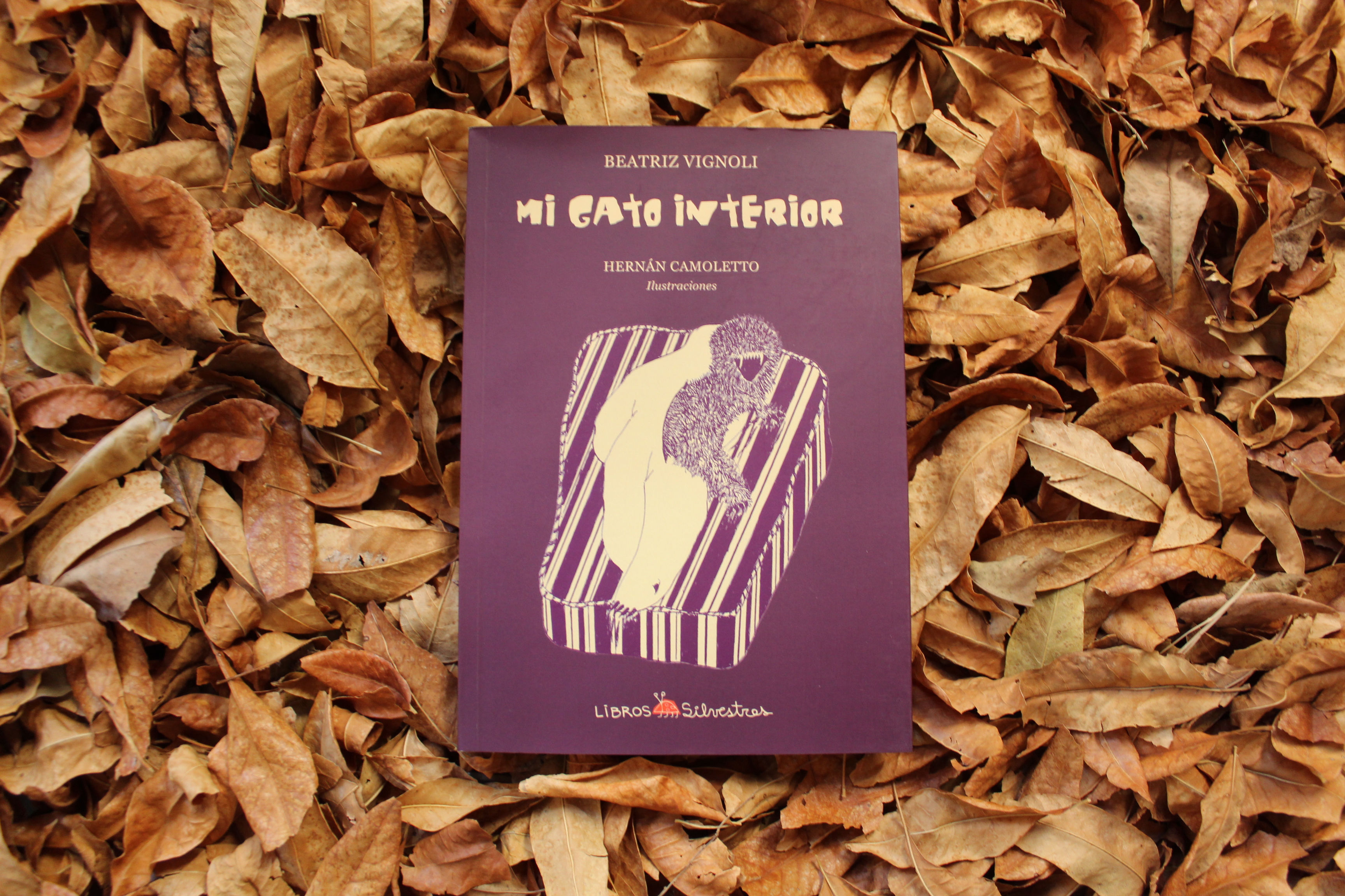 Mi gato interior - Beatríz Vignoli