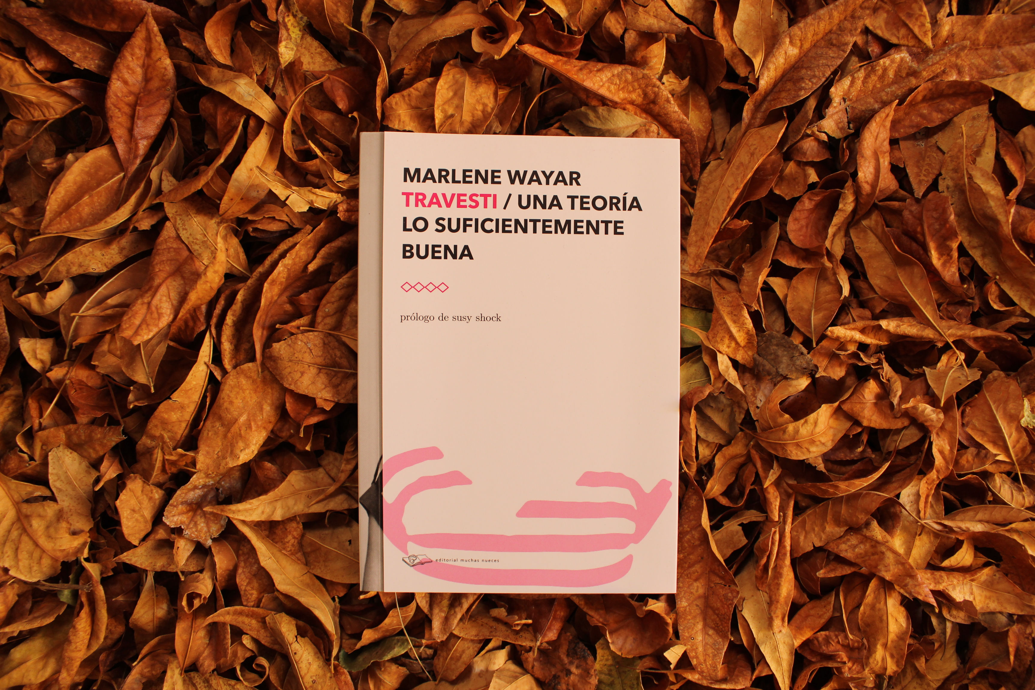 Travesti. Una teoría lo suficientemente buena - Marlene Wayar