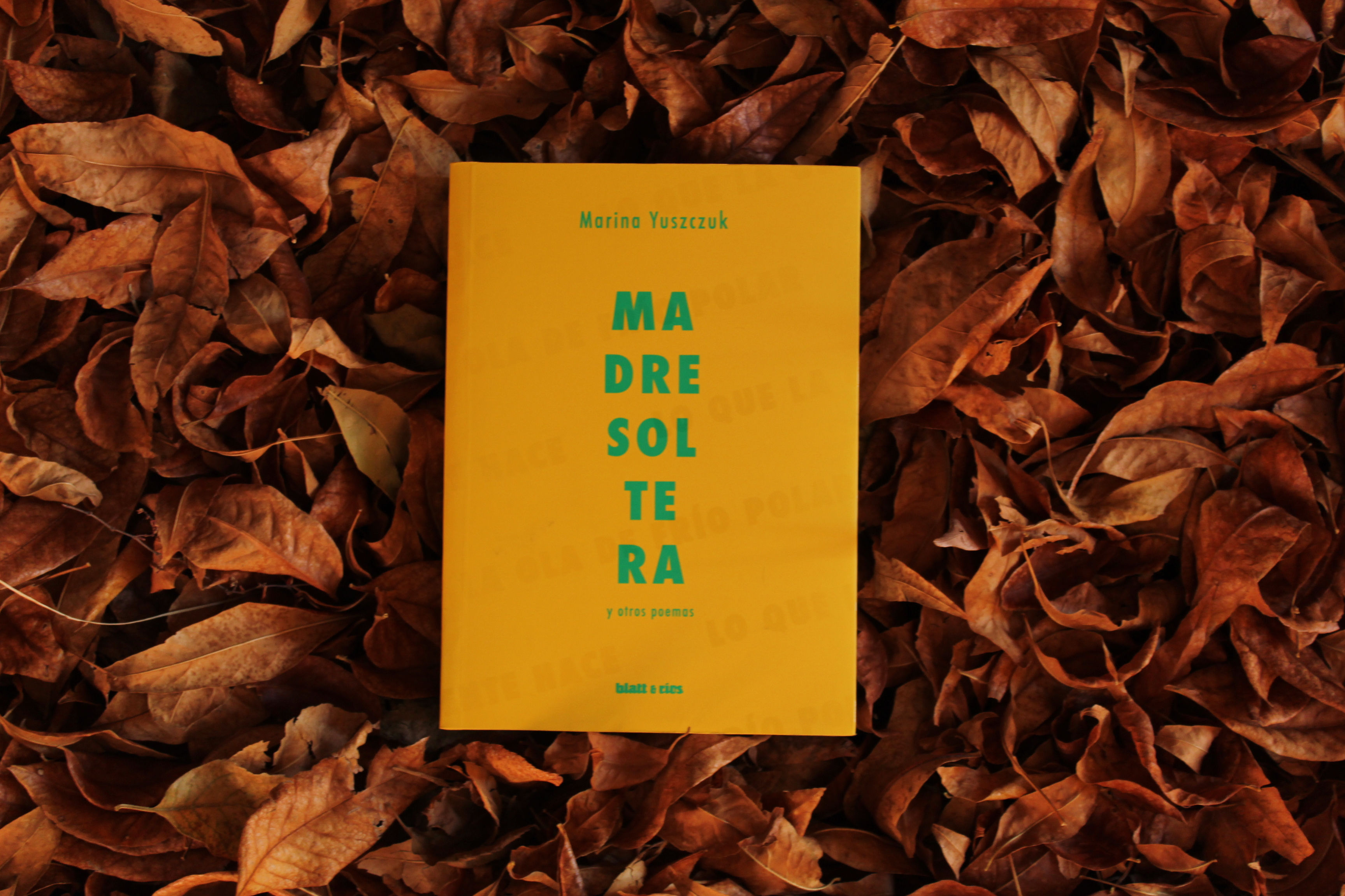 Madre Soltera - Marina Yuszczuk