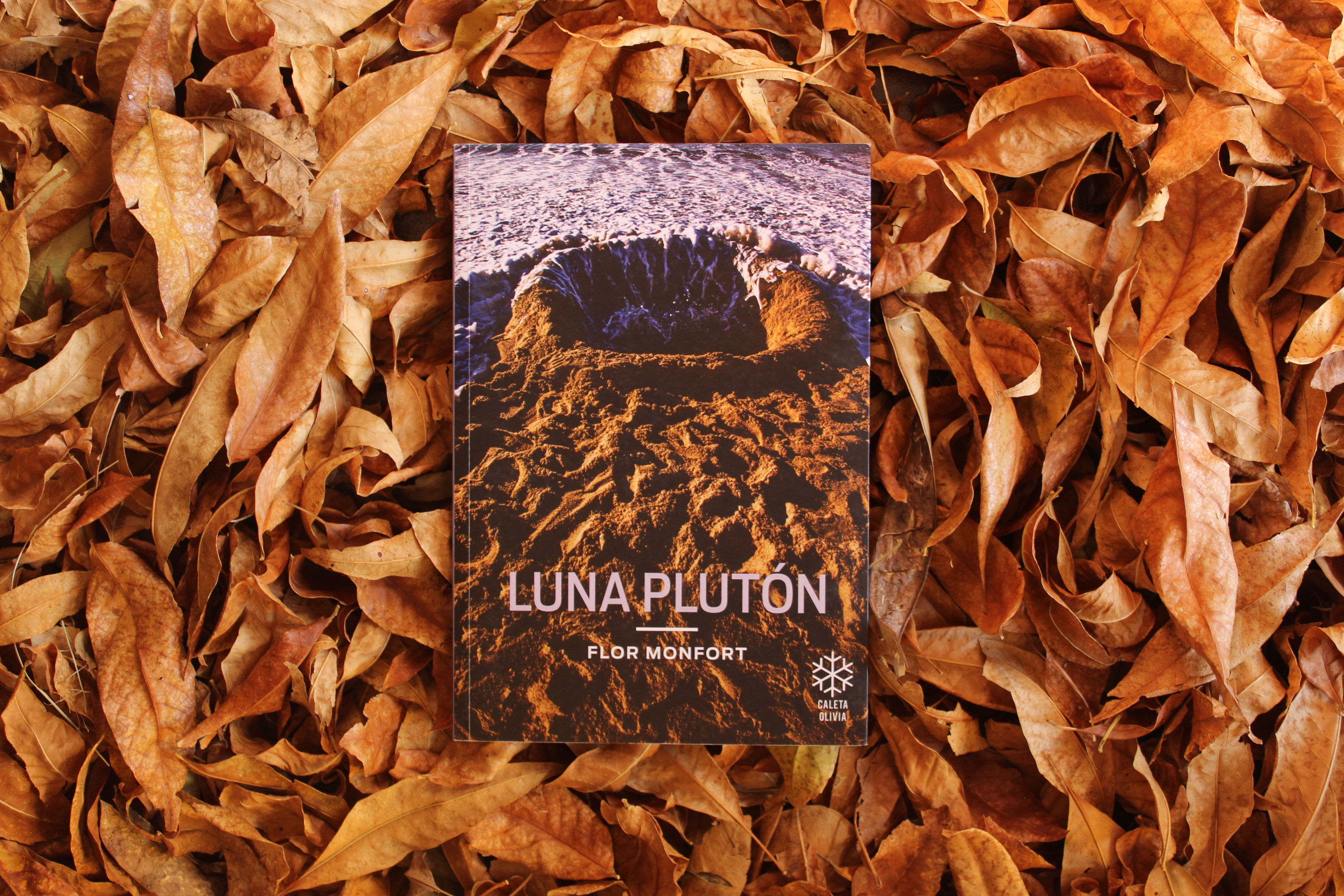 Luna Plutón - Flor Monfort