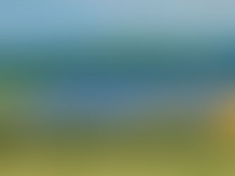 Price comparison of different Solar Panel in India and which is the best?