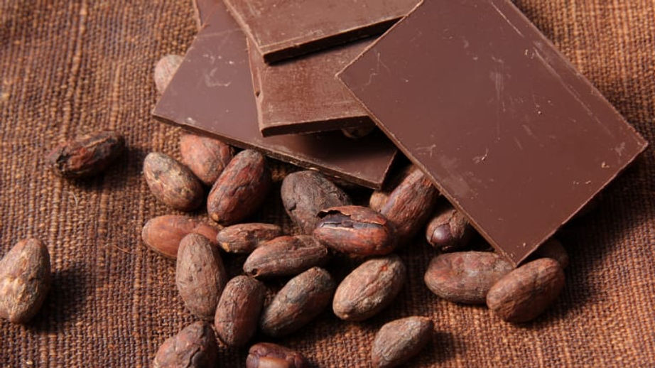 chocolate-and-cocoa-beans.jpg