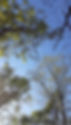 IMG_1828.jpeg
