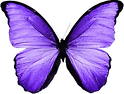 download.png