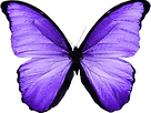 download.png