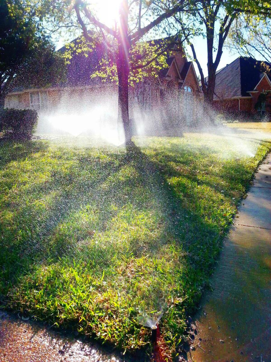 Lewisville Sprinkler repair Head to Head Irrigation Systems