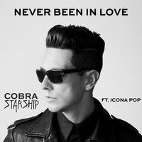 Cobra Starship / Icona Pop
